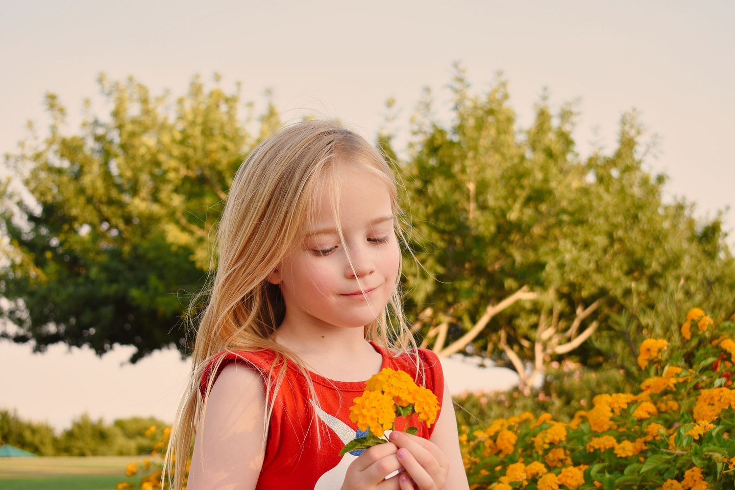 A sequence of candid moments in a garden with orange flowers during golden hour.