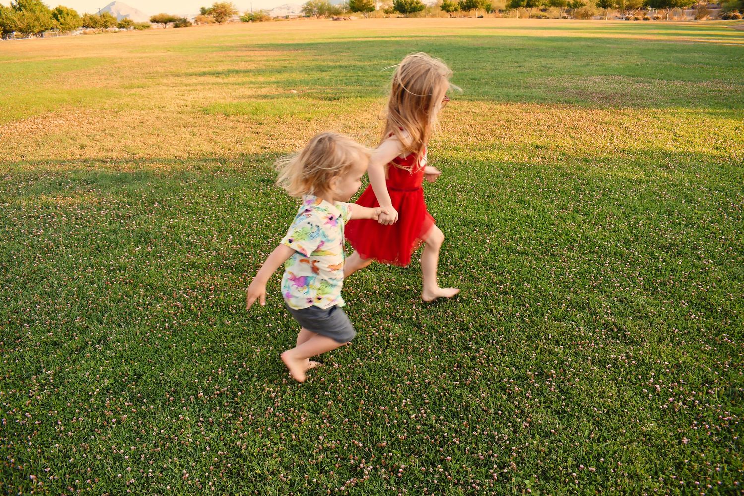 A series of playful movements on a green lawn during sunset.