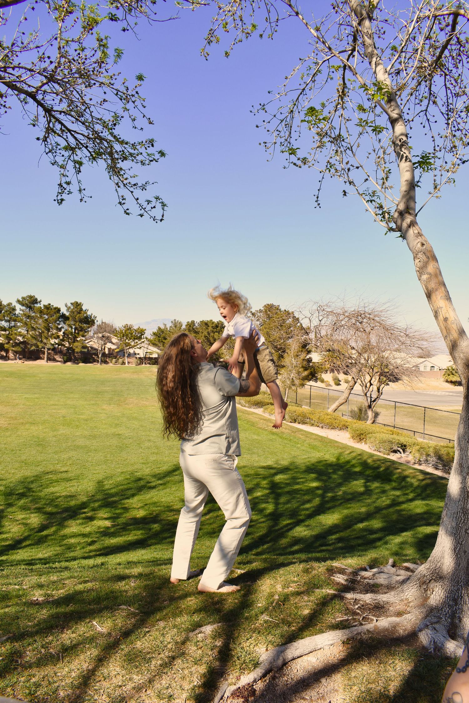 A person climbing a tree in a sunny park setting with green grass and clear blue sky in the background.