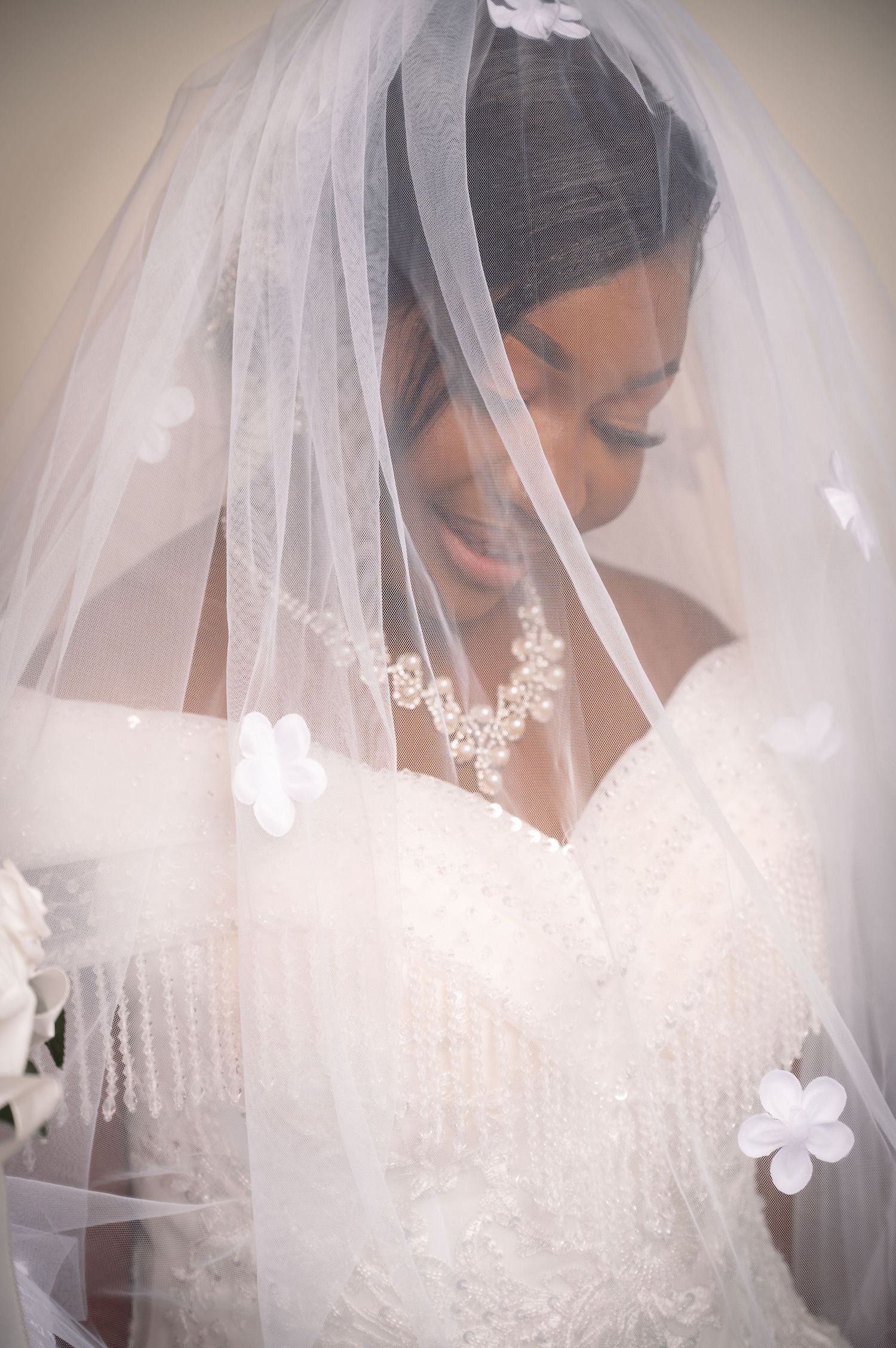 Bride wearing an elegant lace dress and veil poses for a soft, romantic bridal portrait.