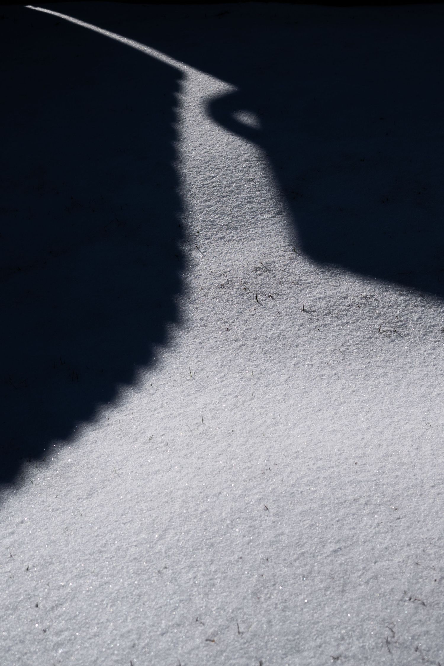 Abstract black and white photograph showing a curved shadow edge against a textured white surface.