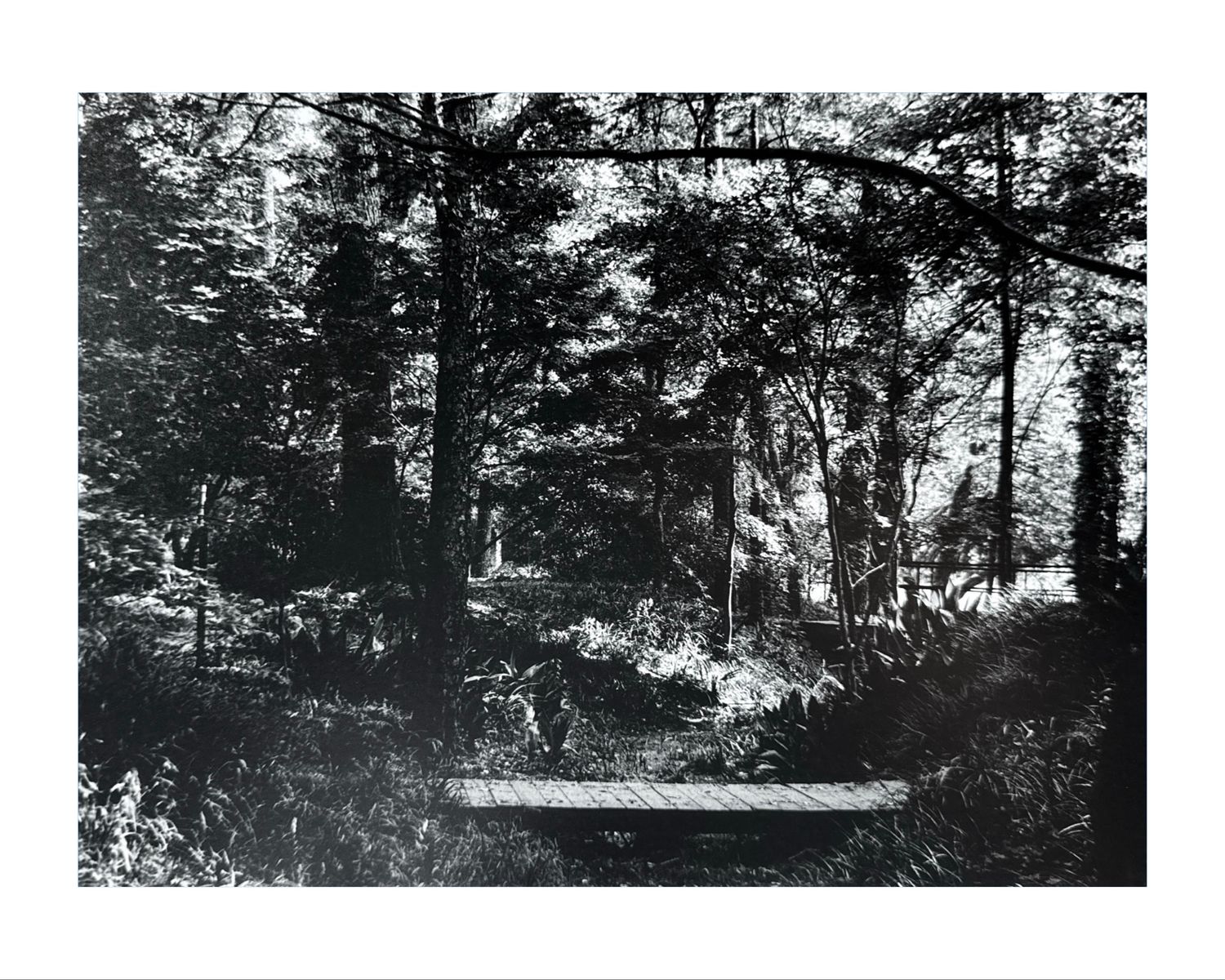 A black and white photograph shows a wooden bench nestled among trees in a tranquil forest setting.