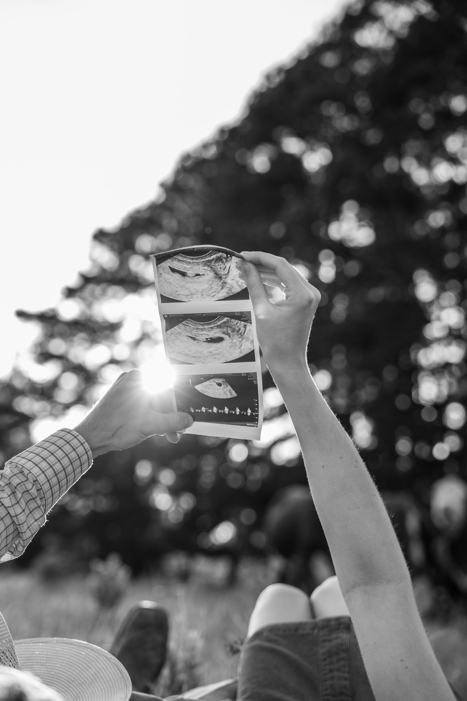 Black and white photo of hands raising drinks in sunlit outdoor setting.