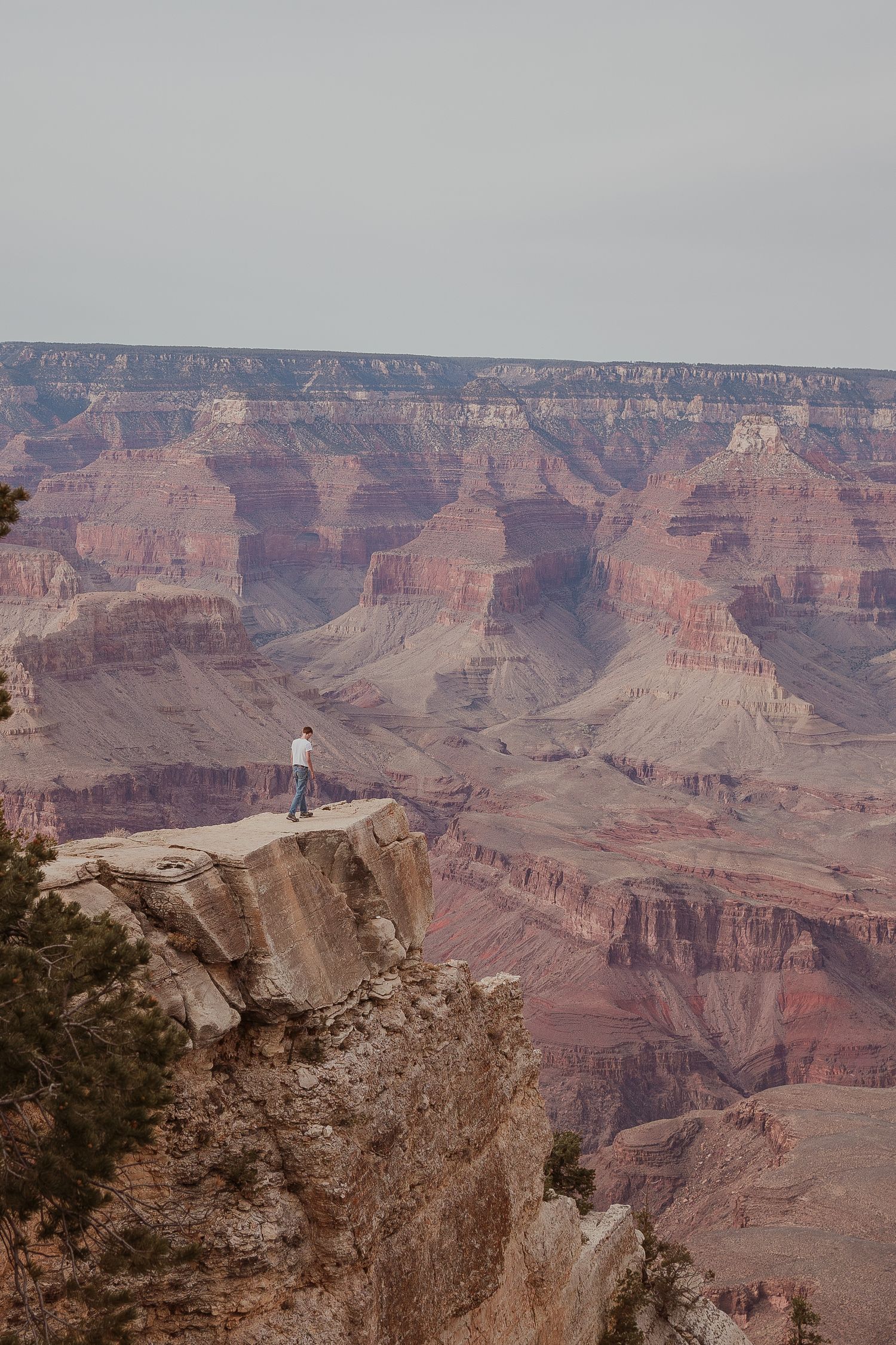 Panoramic view of the Grand Canyon's layered red rock formations and deep valleys stretching to the horizon.