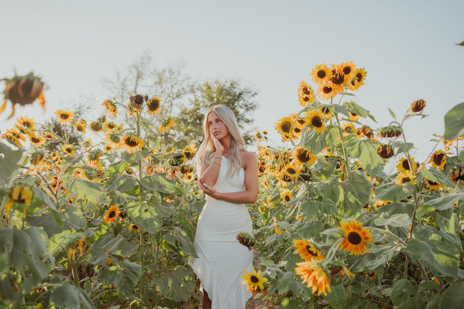 Woman in white dress standing among tall blooming sunflowers during golden hour.