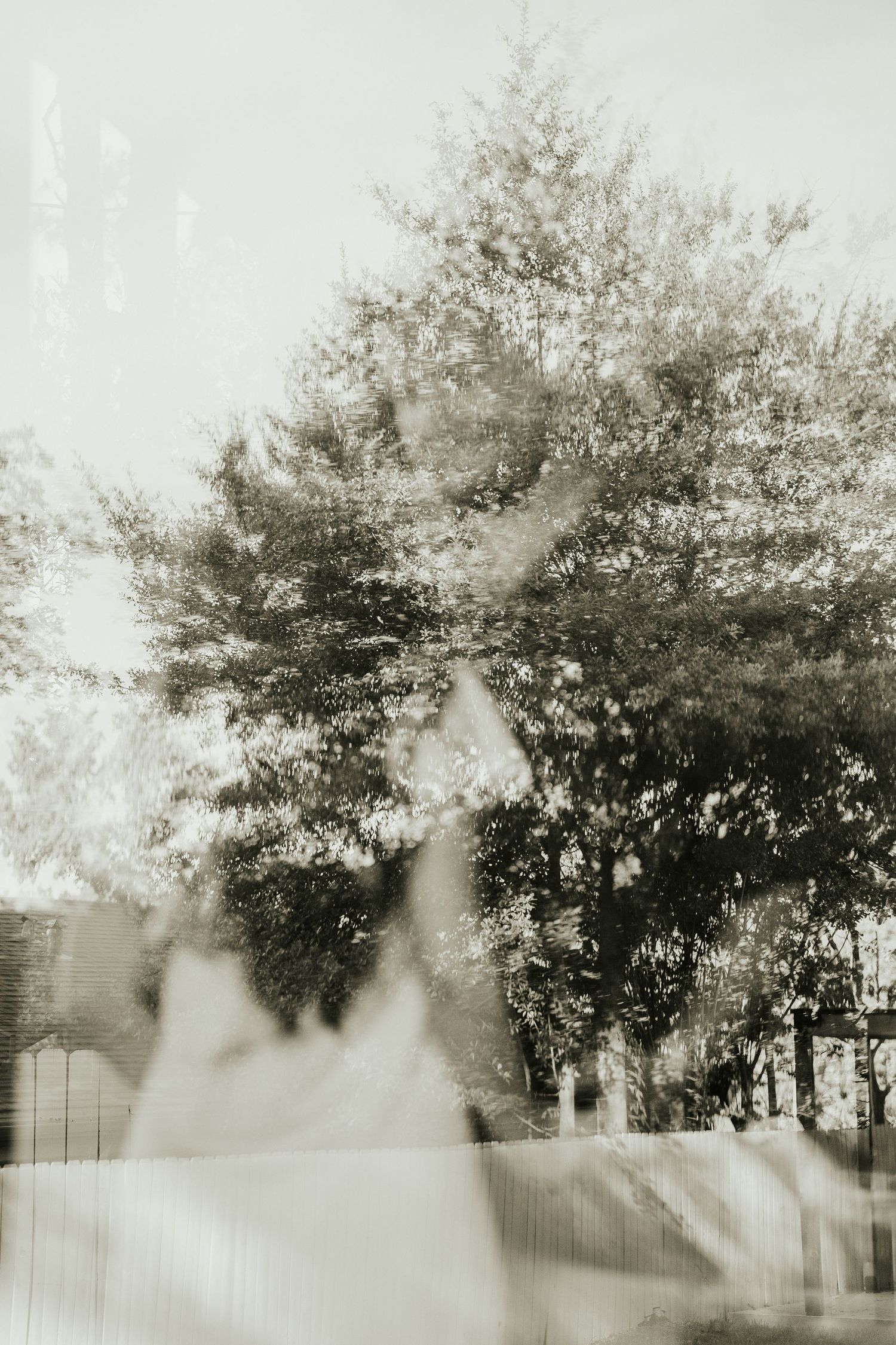 Artistic double exposure of trees and silhouettes creating ethereal black and white effect.