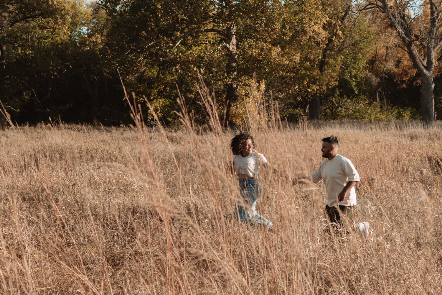 People walking together through a golden field at sunset in a park setting, photographed at various angles.