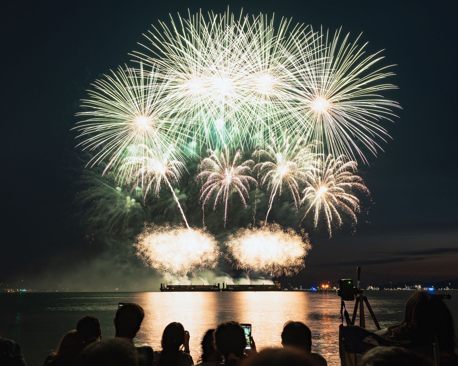 Palm-shaped firework explosion over English Bay with crowd