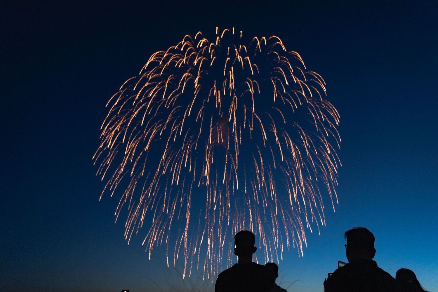 Spectators capturing fireworks on phone at Honda Celebration of Light