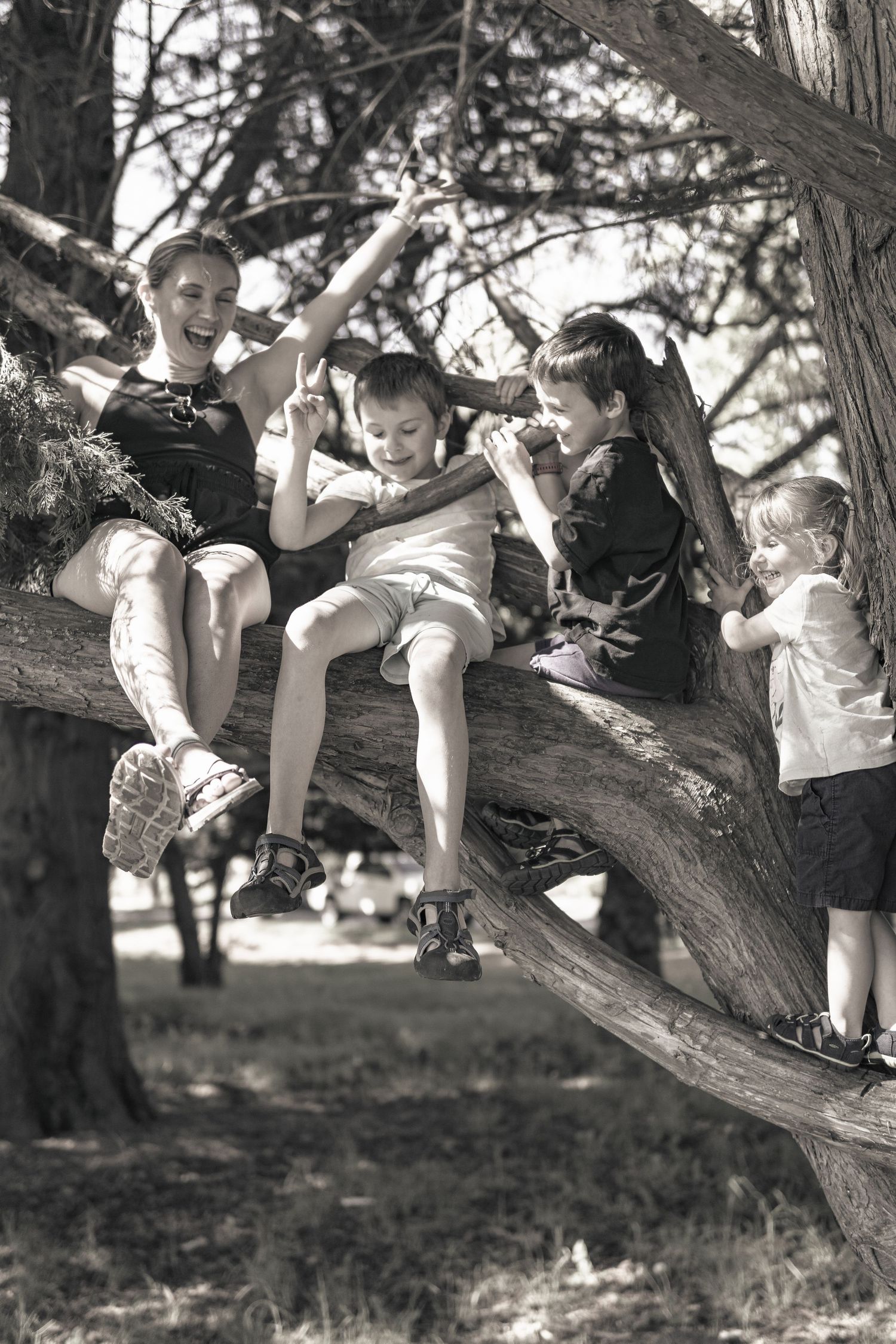 Group of kids playing on the short tree trunk in the park