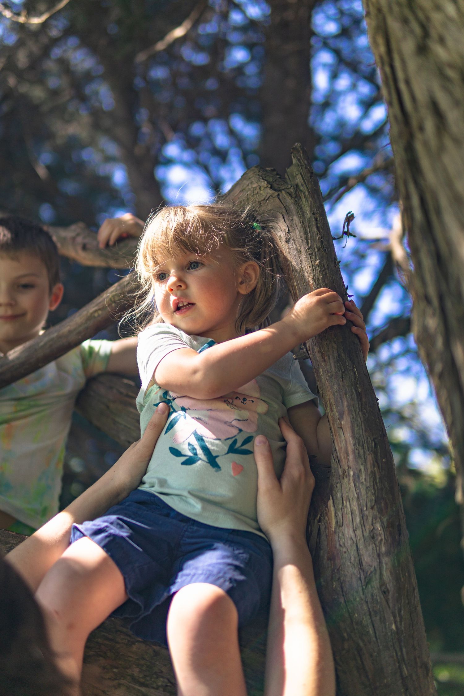Candid shot of a girl on the tree trunk in a park in Victoria
