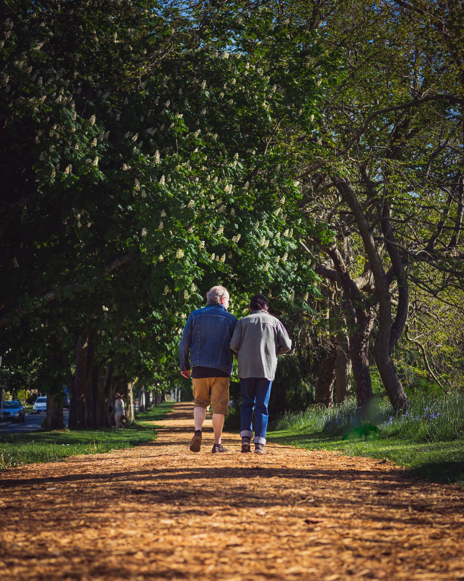 Lovely Couple walking through the park during spring time in Canada