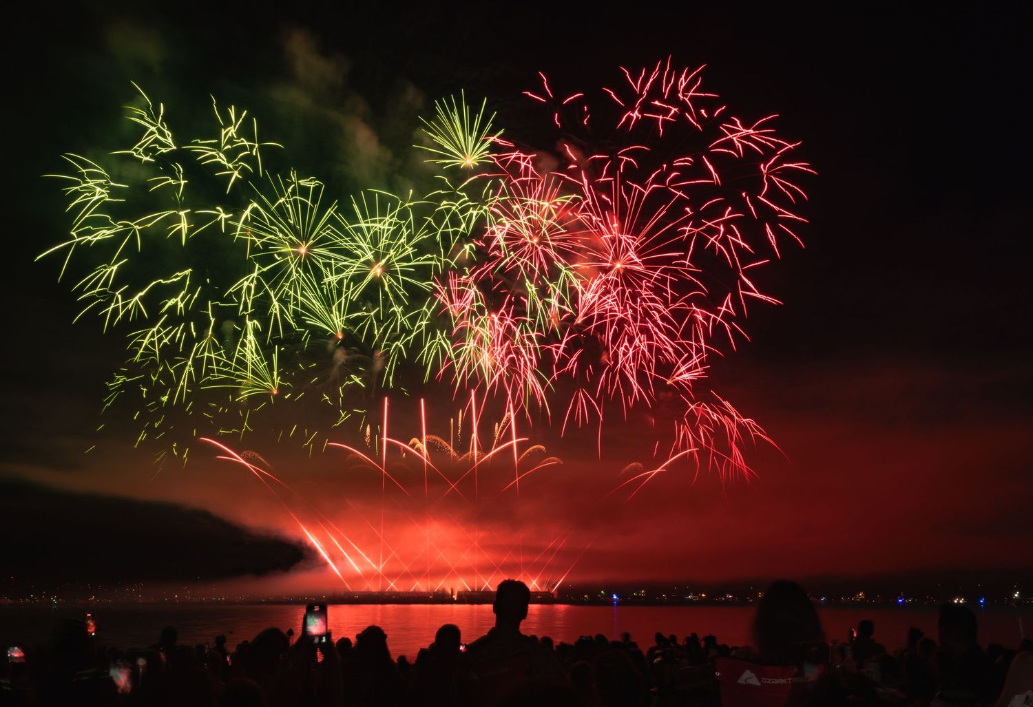 Palm firework bursts glowing against dark clouds above English Bay