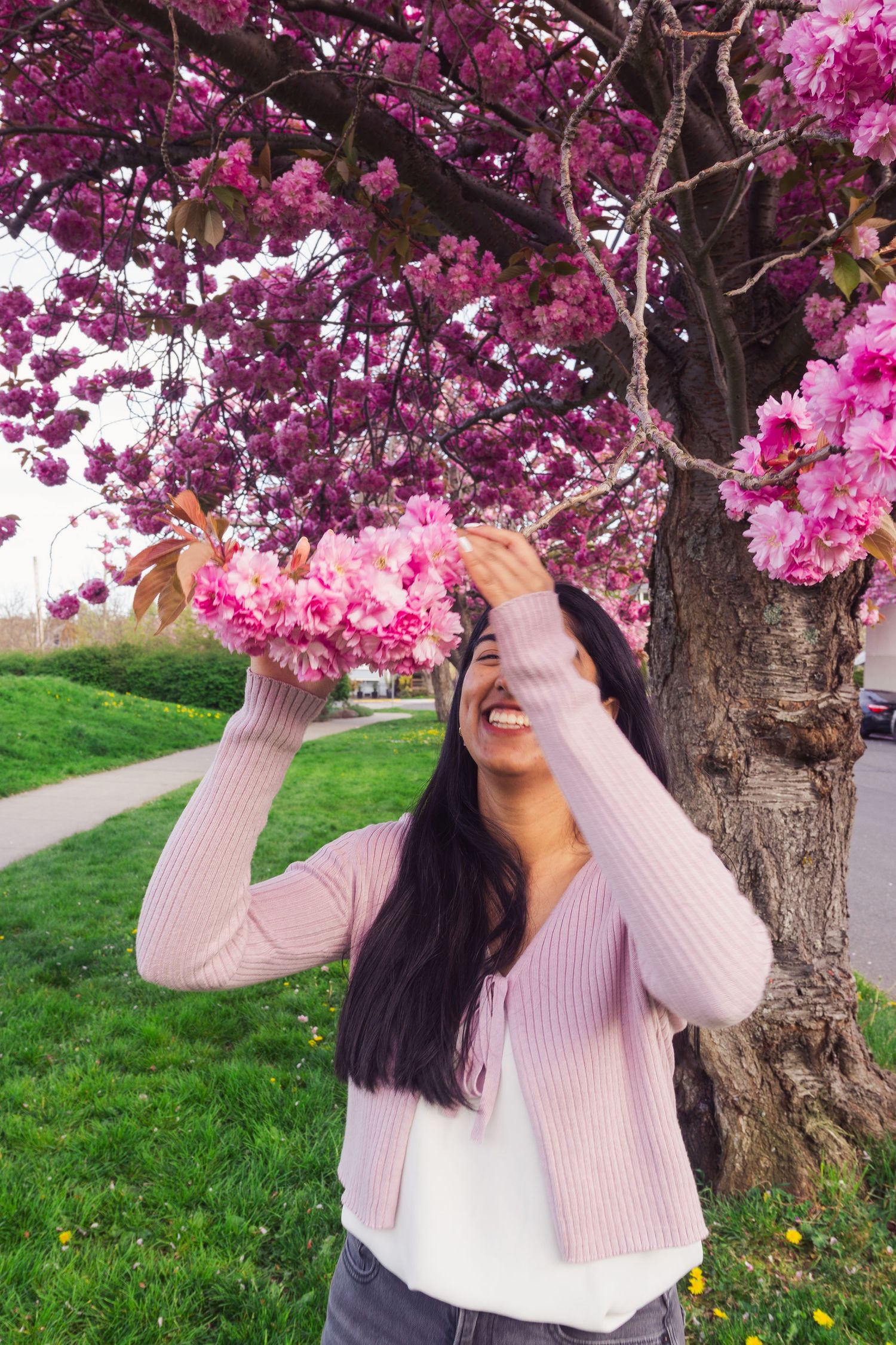 Woman smiling and reaching for cherry blossoms in candid spring photo in Victoria, Canada