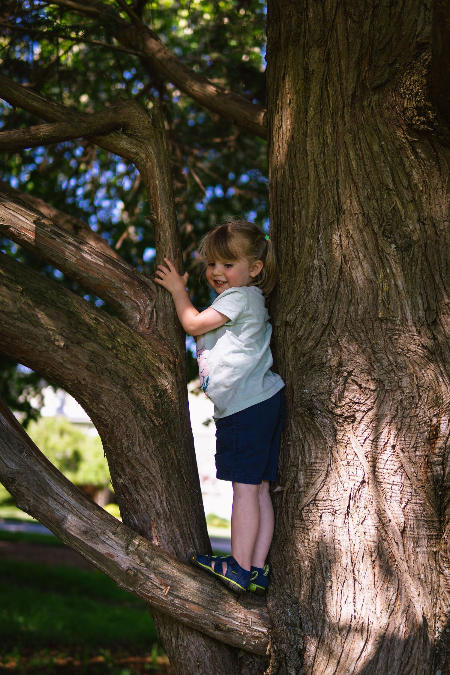 Joyful children exploring a tree trunk during a sunny afternoon