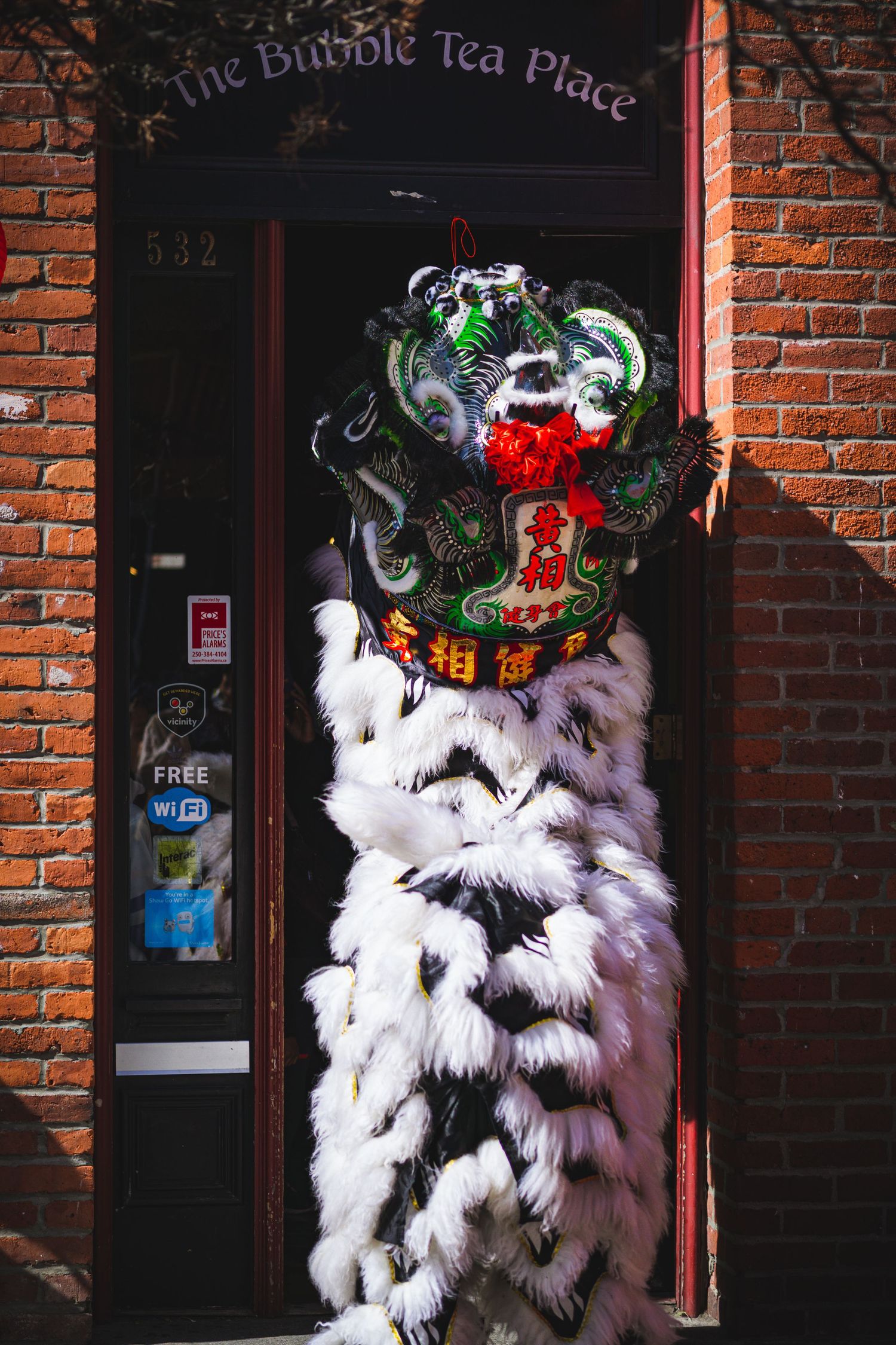 Close-up of lion dancer's costume detail with black and white embroidery