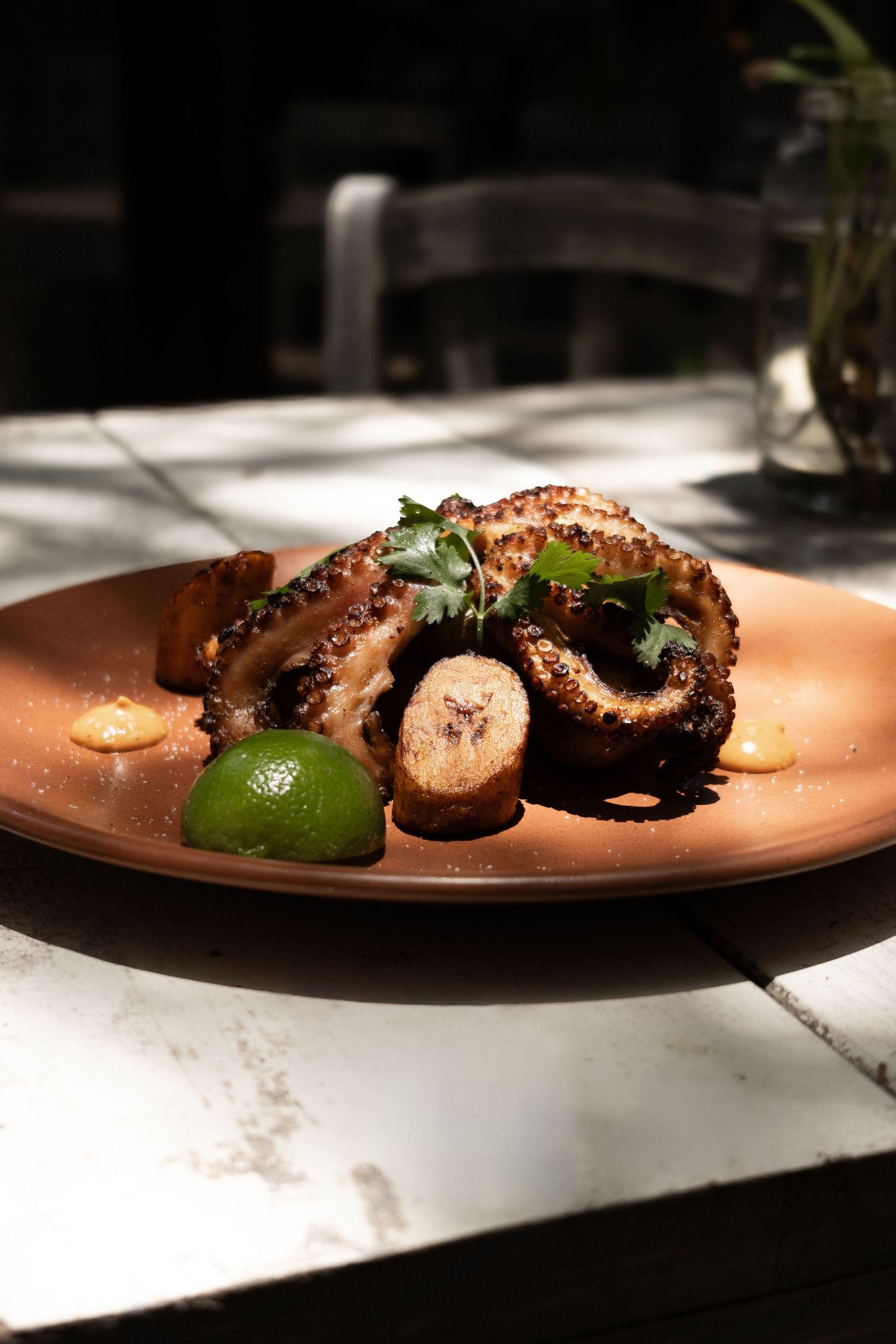 fotografia gastronomica, un plato de pulpo sobre una mesa