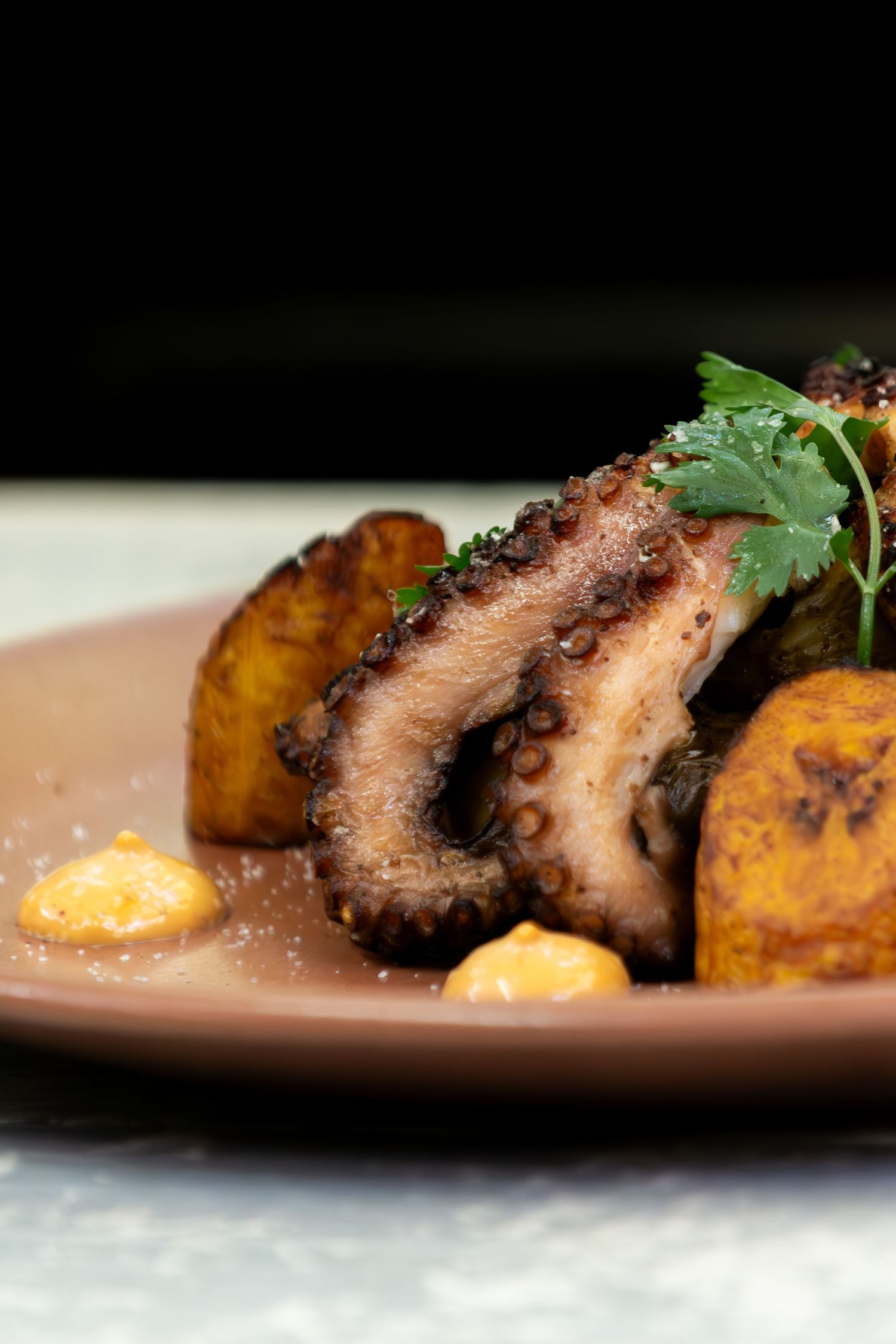 fotografia gastronomica plano detalle de pulpo