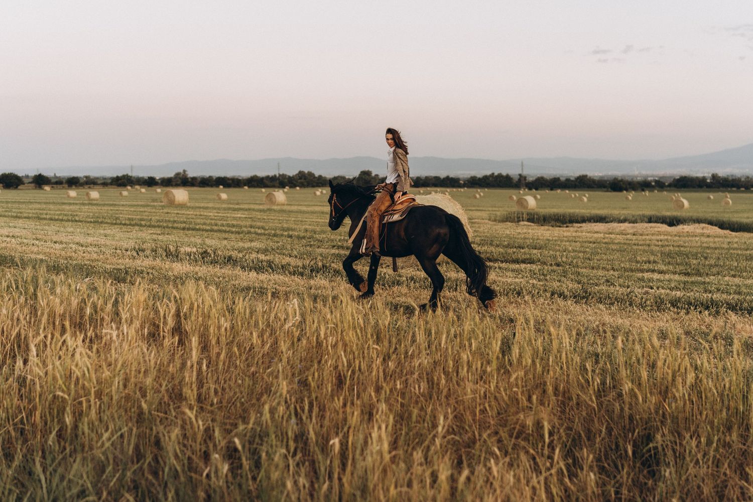 A silhouetted figure horseback riding through a golden wheat field at sunset.