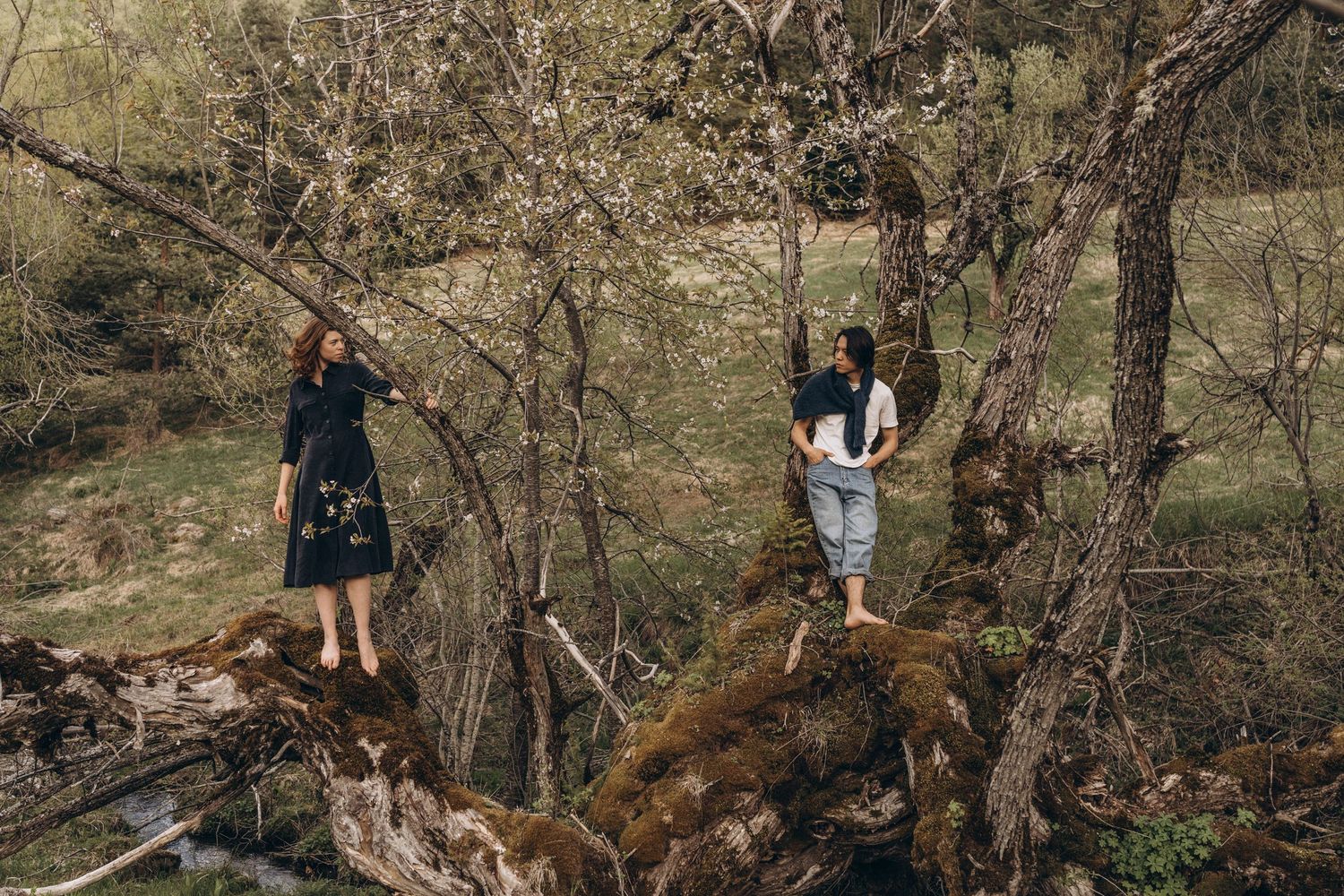 People exploring a wooded area with fallen trees and natural terrain.