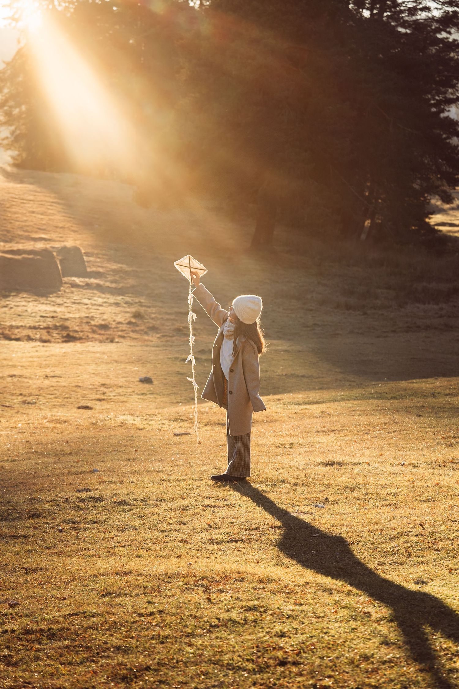 Silhouettes of decorative figures cast long shadows on sunlit grass during golden hour.