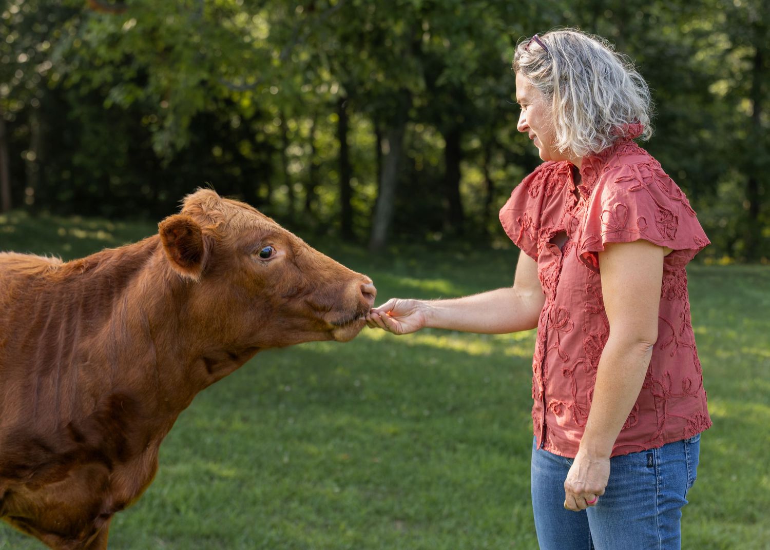 Woman in red blouse hand-feeding a brown calf in a green pasture on a sunny day.