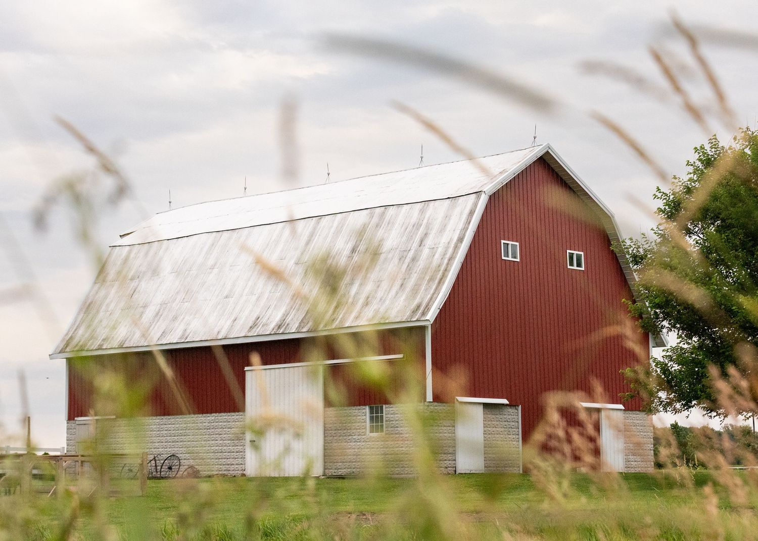 Red barn with metal roof surrounded by tall grass and wildflowers on a cloudy day.
