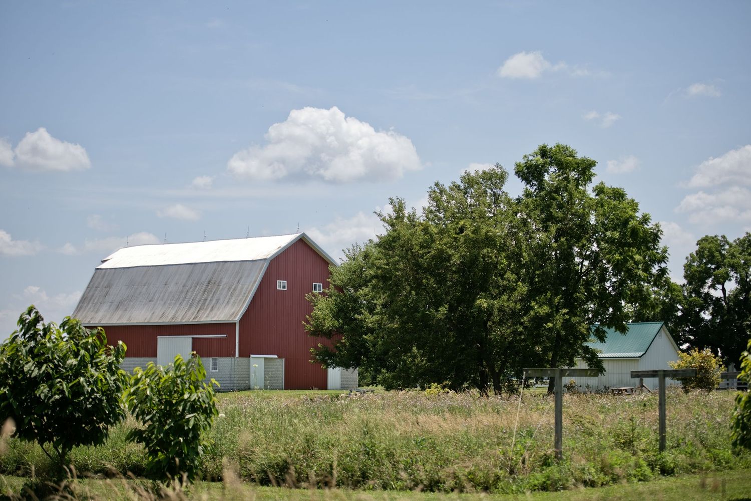 Classic red barn with metal roof nestled among green trees under a blue summer sky.