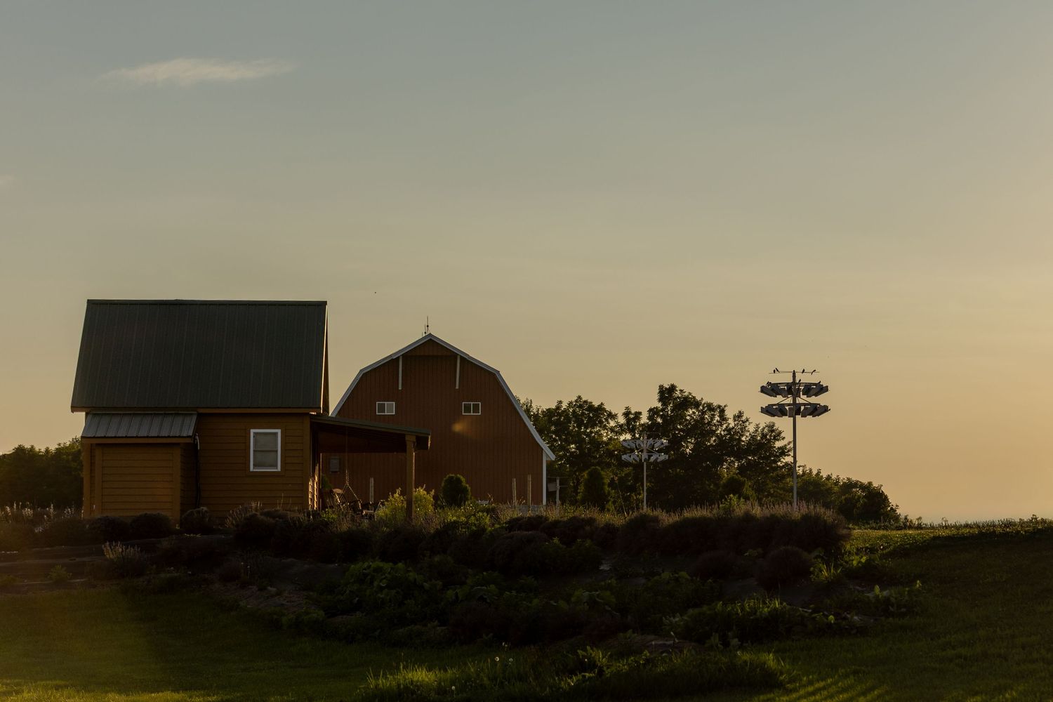 Rustic red barn and small outbuilding at golden sunset on a peaceful farm.