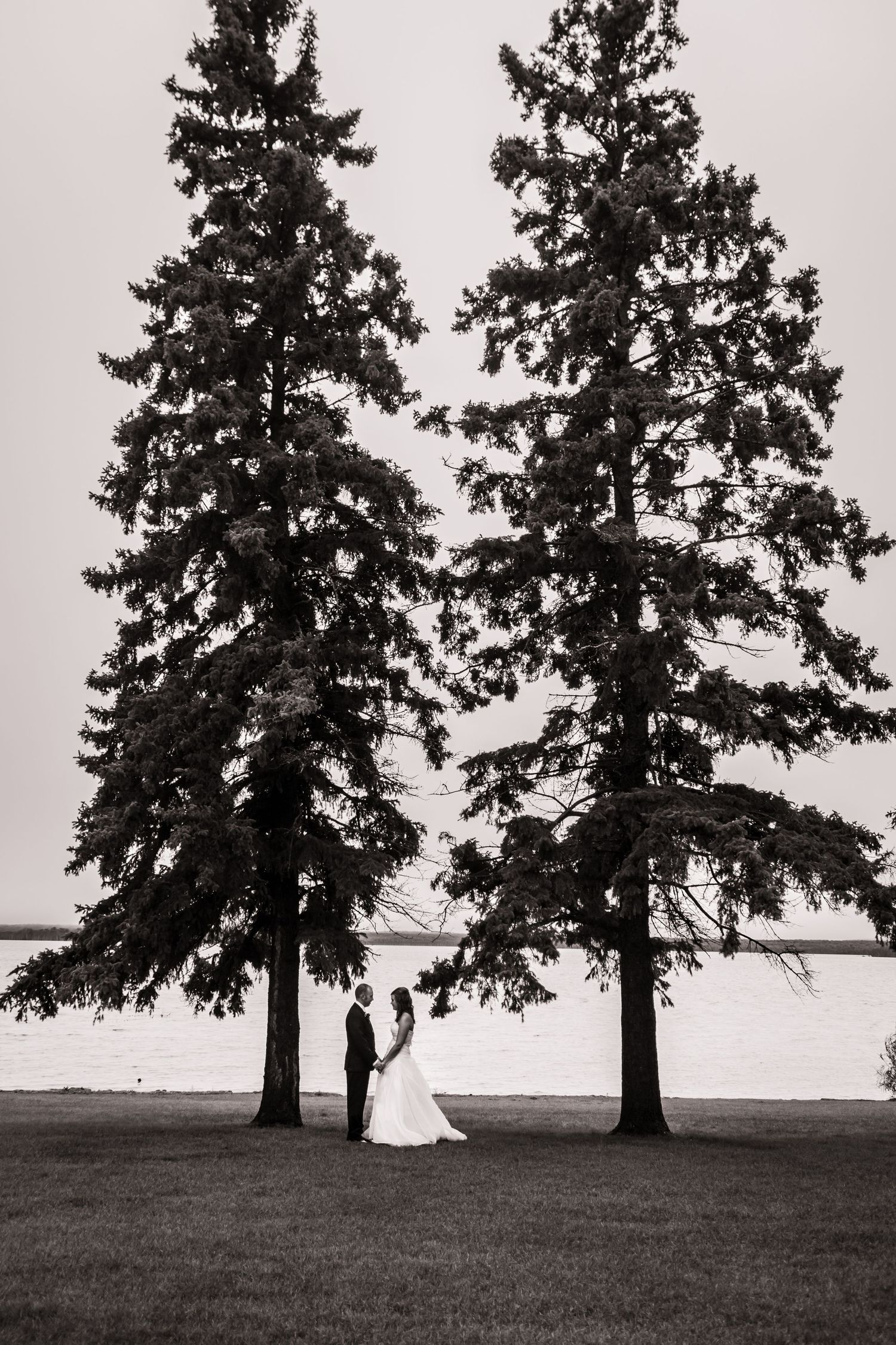 A Bride and Groom stand tall among the evergreens as husband and wife.