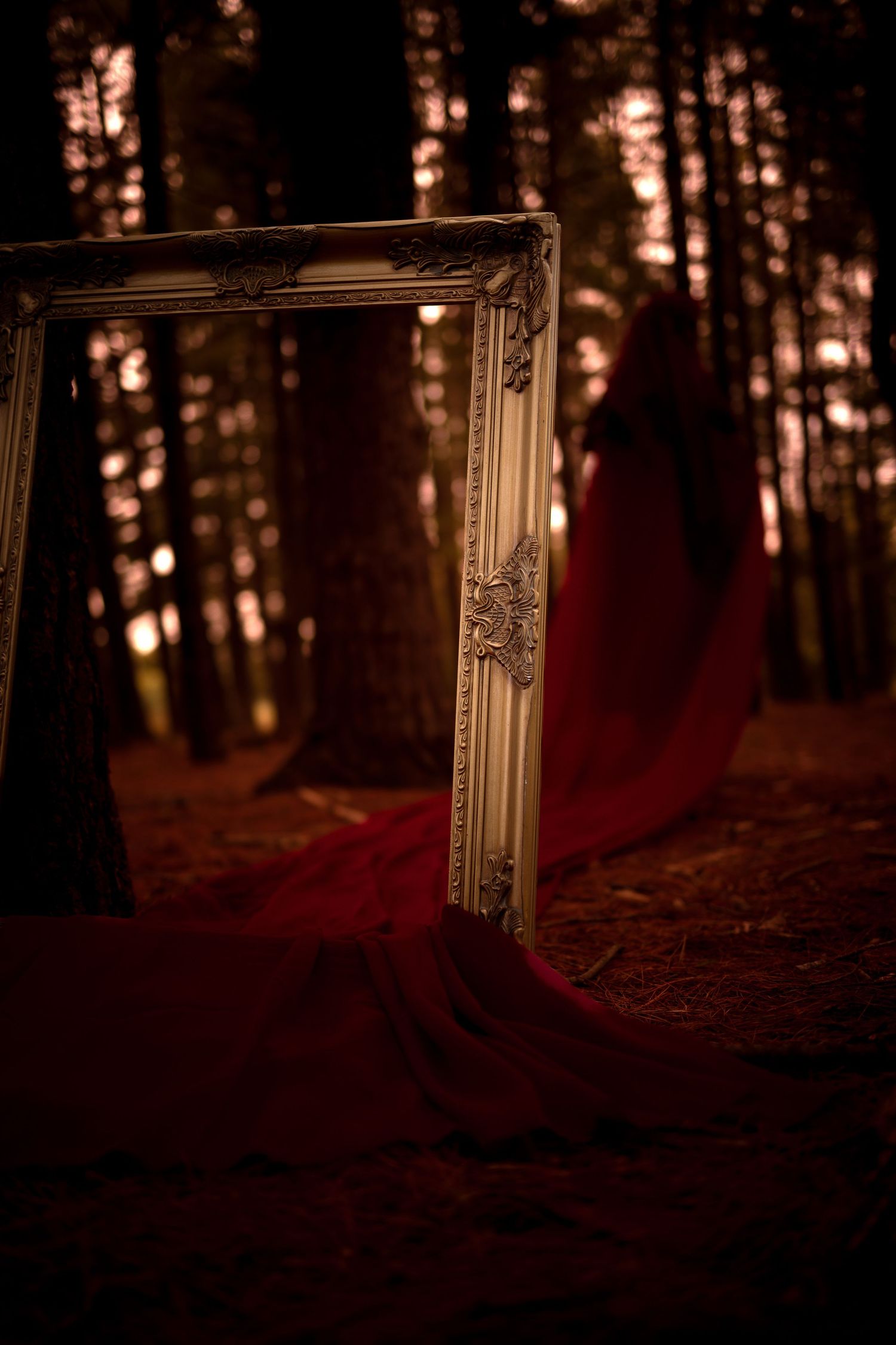 Ornate white picture frame leaning against dark forest trees with flowing red fabric on pine needle ground.