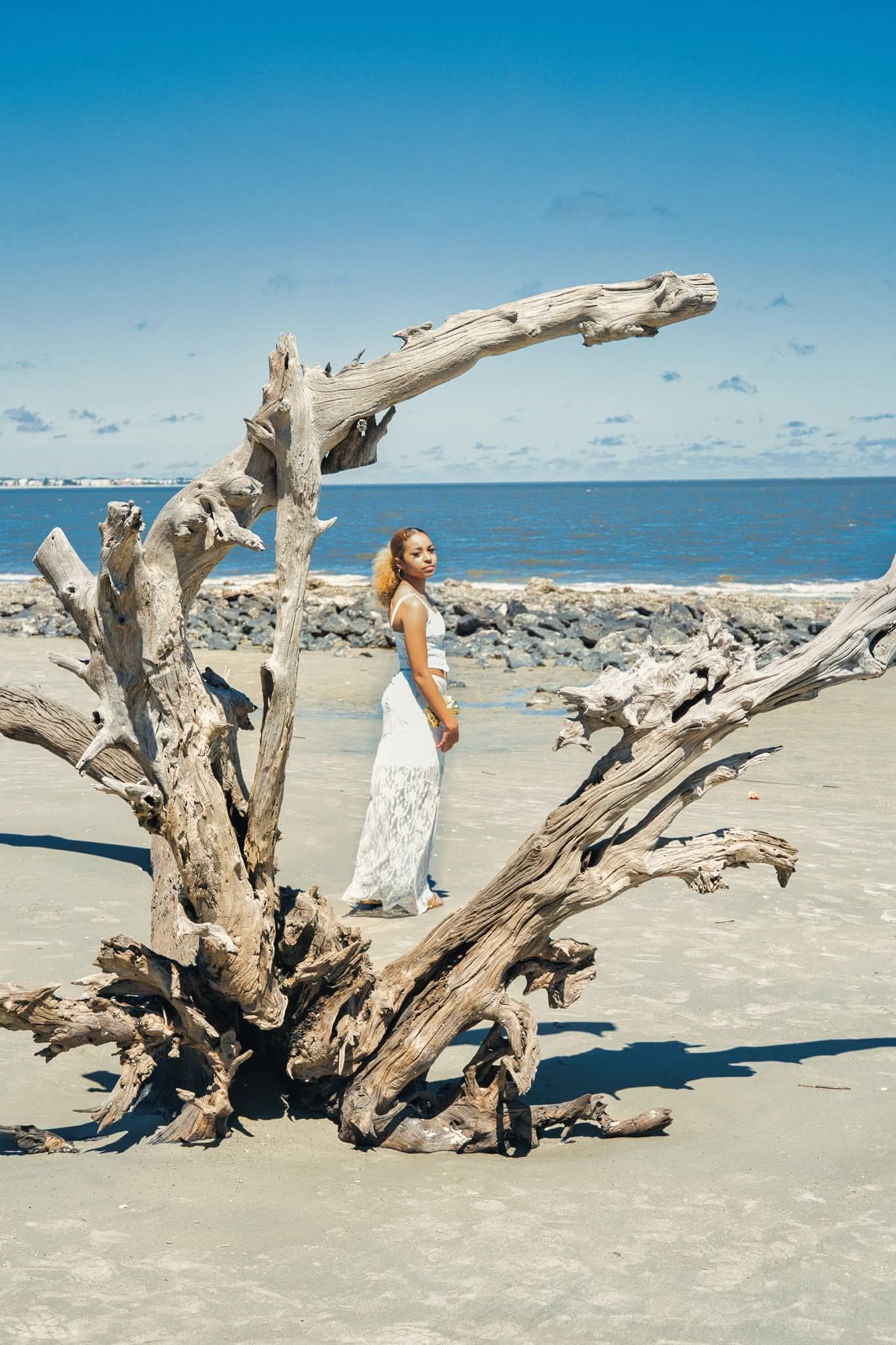 A series of driftwood pieces scattered across a sandy beach against a bright blue sky and ocean backdrop.