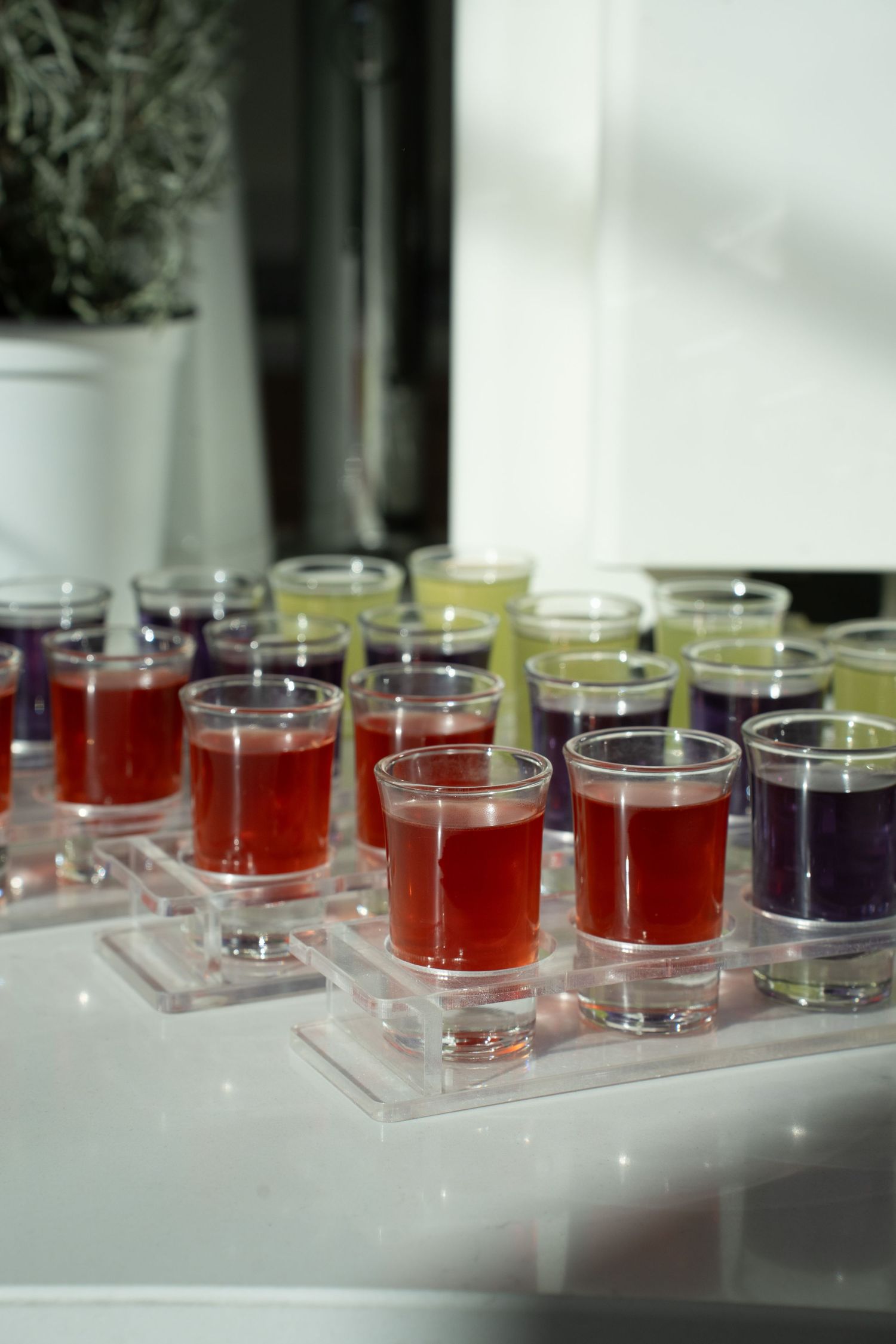 Rows of colorful red, purple, and yellow shot glasses arranged on a white tray at an event.
