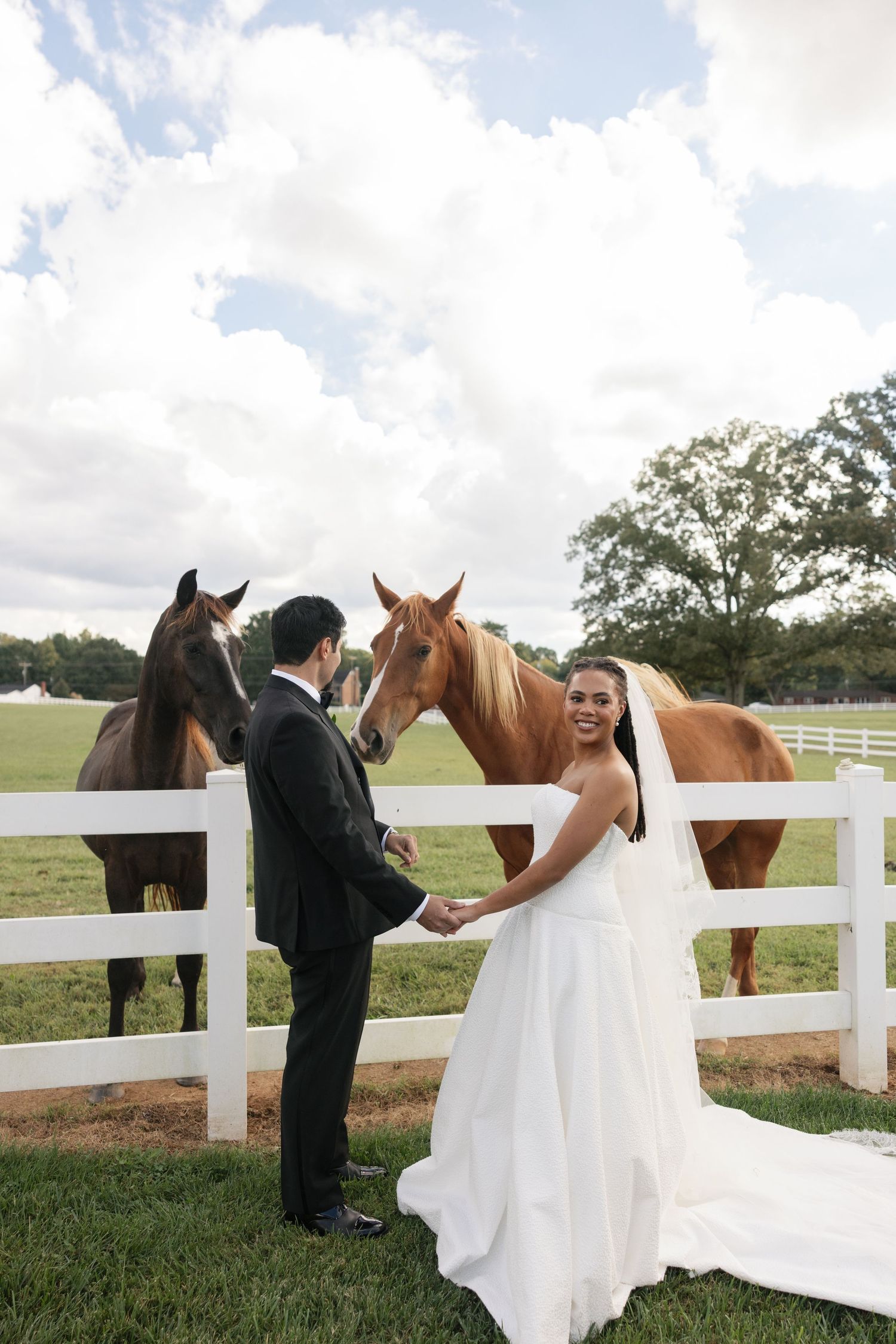 Bride in a white gown and groom in a black suit hold hands by a white fence while two horses lean in on a sunny farm wedding day.