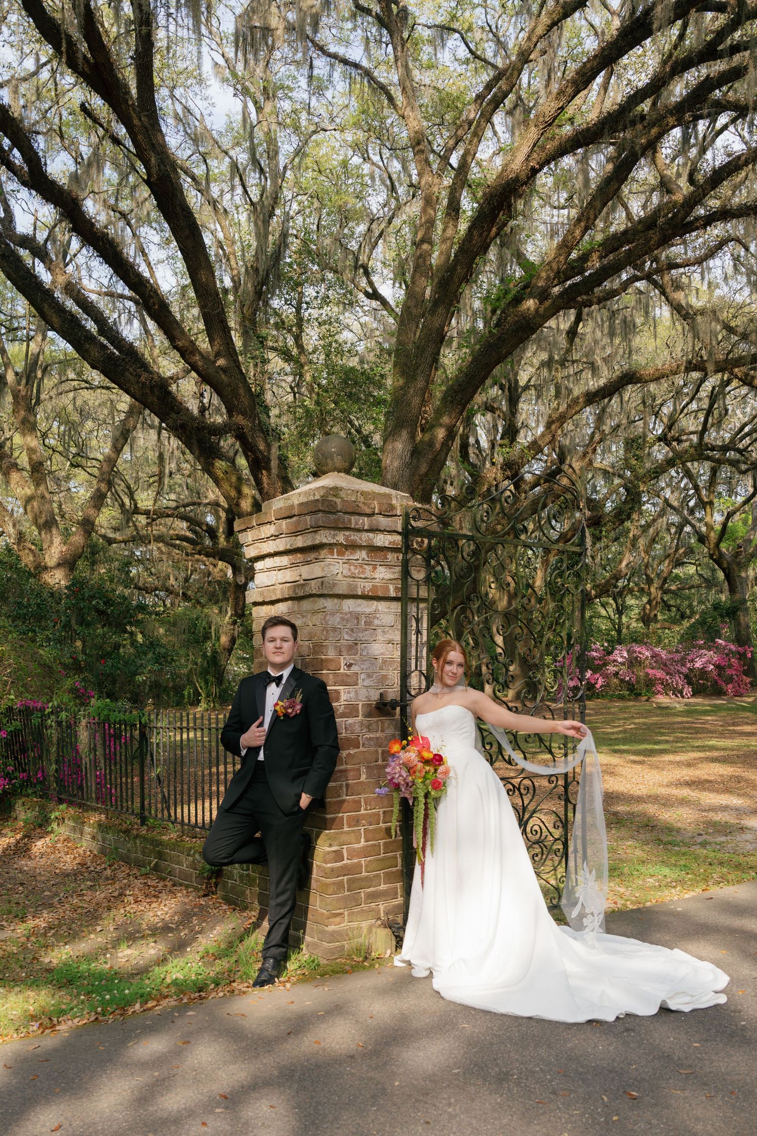 Bride and groom posing at ornate iron gate under Spanish moss-draped oak trees on their wedding day.