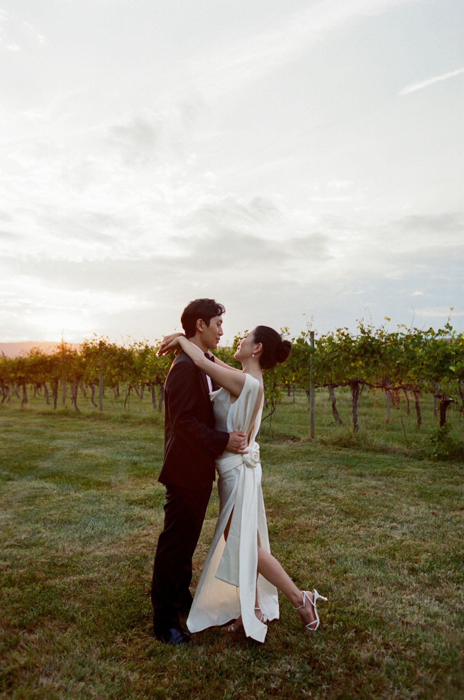 A couple embraces romantically in a vineyard at sunset with soft golden light illuminating the scene.