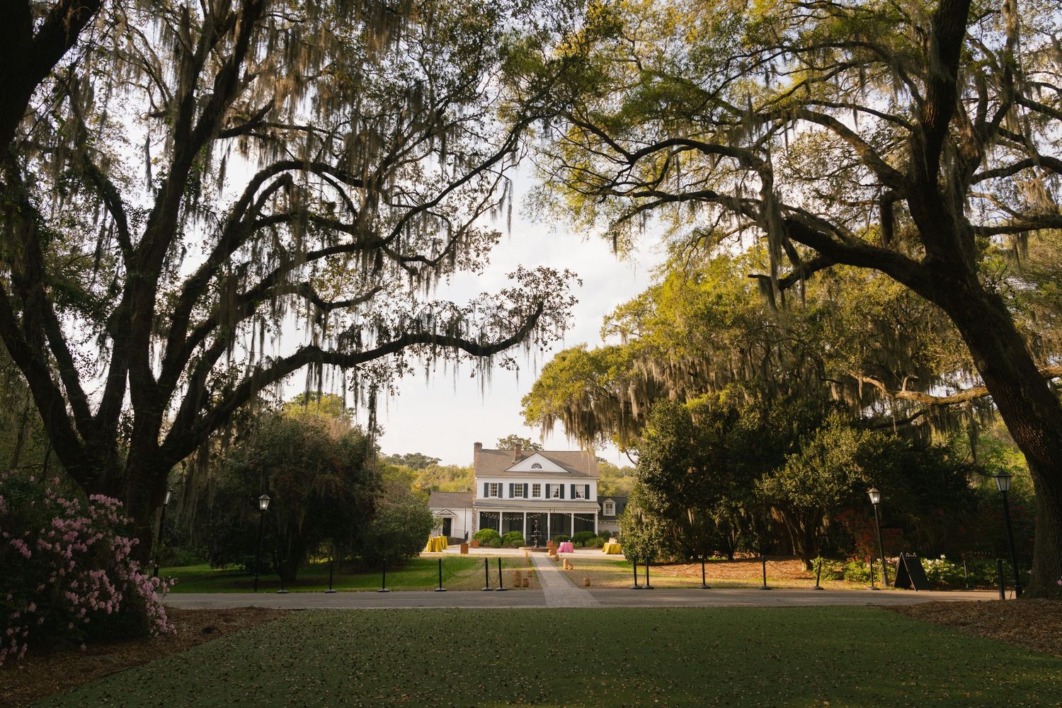 A grand Southern plantation home surrounded by sprawling live oak trees draped with Spanish moss on a lush green lawn.