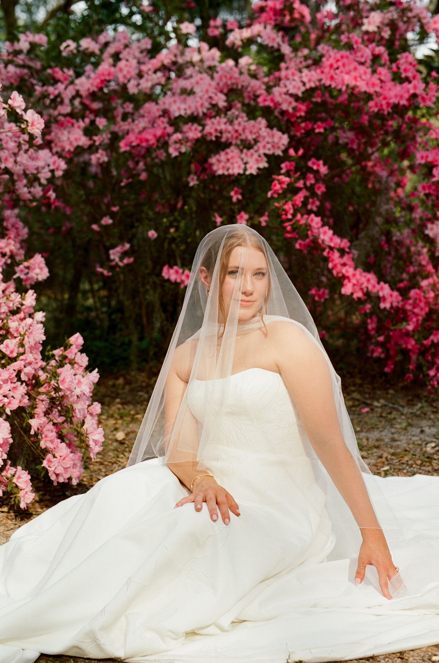 Bride in white strapless gown and veil sits gracefully before blooming pink azalea bushes in an outdoor garden setting.