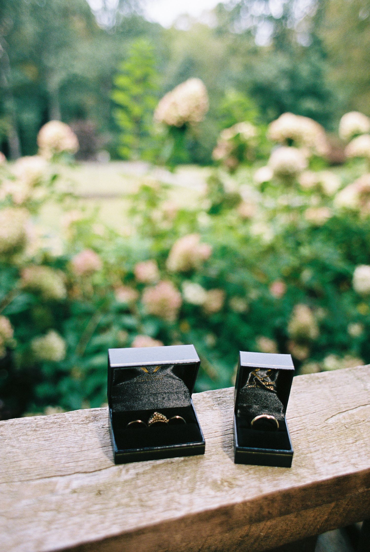 Wedding rings in black boxes sit in a row on a rustic wooden surface with blurred floral garden backdrop.