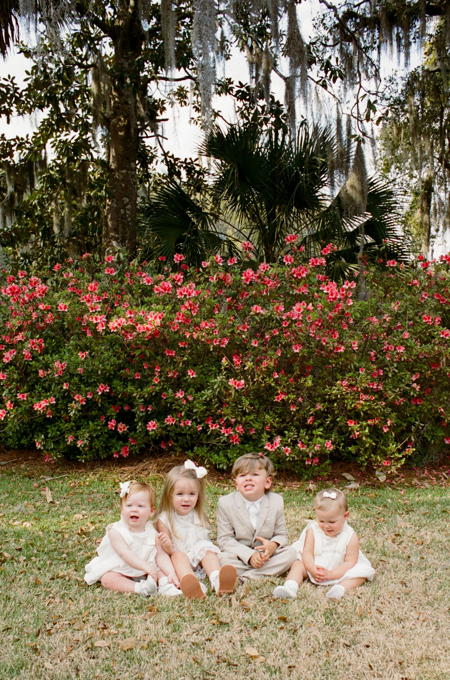 Four young children in formal attire sit on grass before vibrant red azalea bushes and Spanish moss-draped trees.