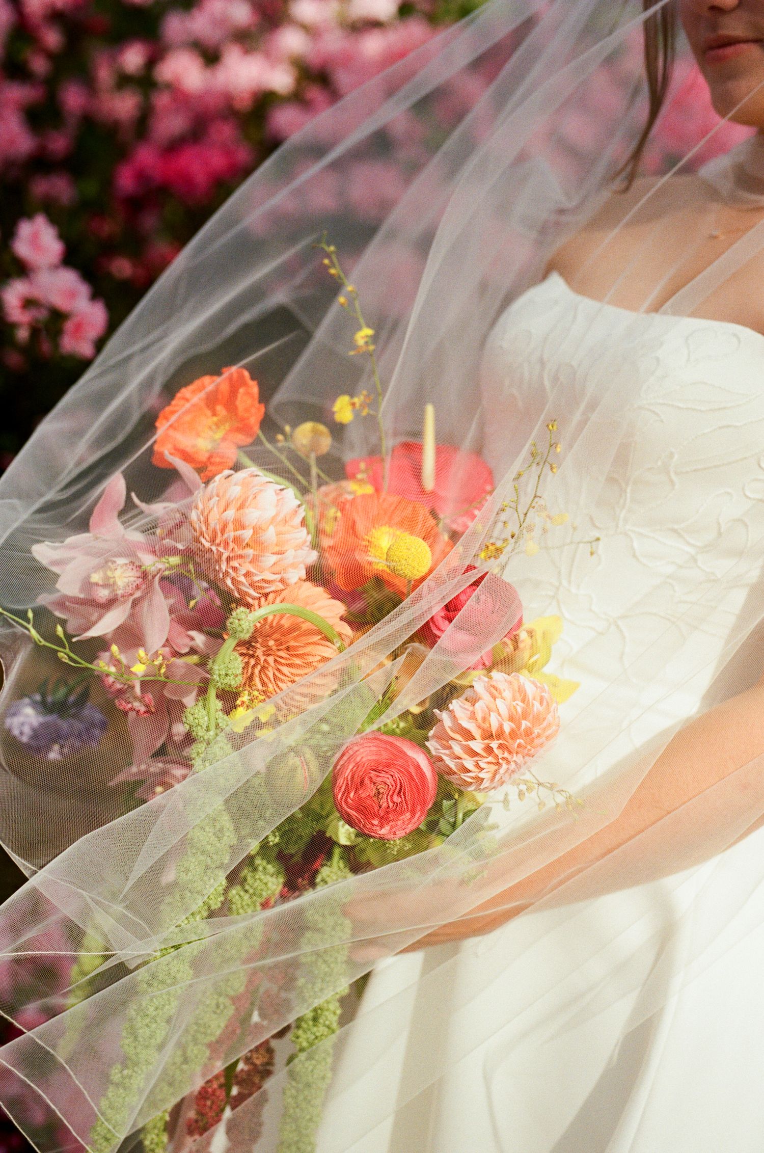 Bride in white gown holding a vibrant coral and pink floral bouquet with dahlias, draped in a sheer veil.