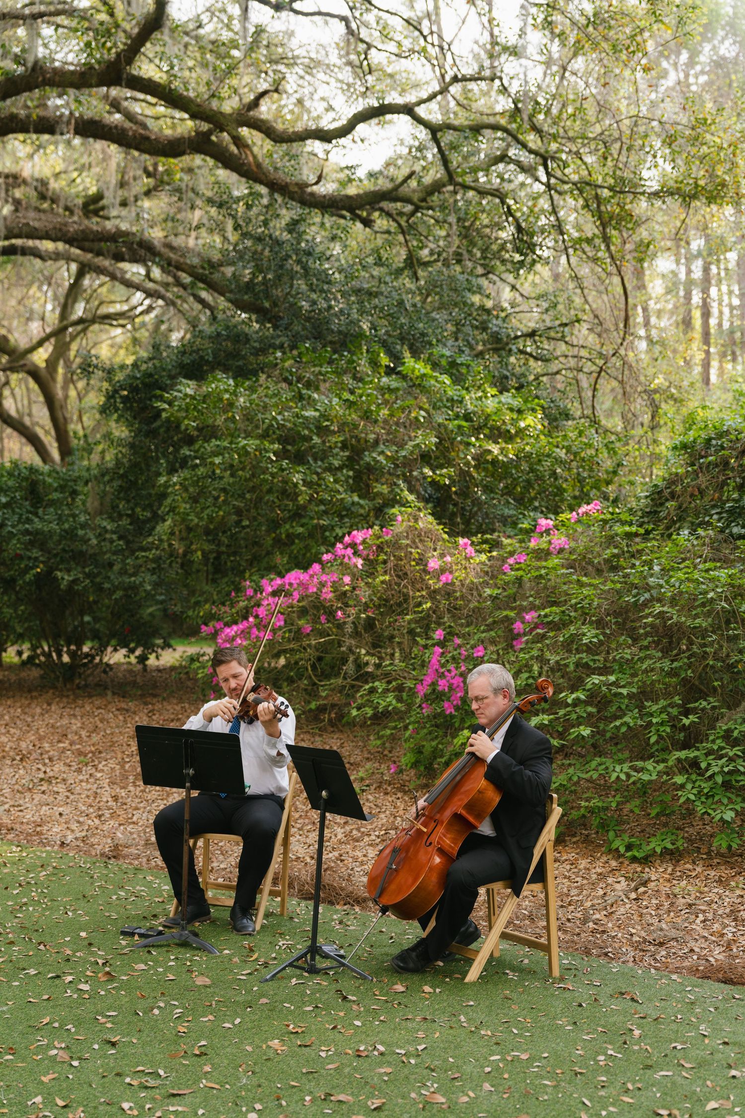 Two musicians play violin and cello outdoors in a lush garden setting with pink flowers and tall trees.