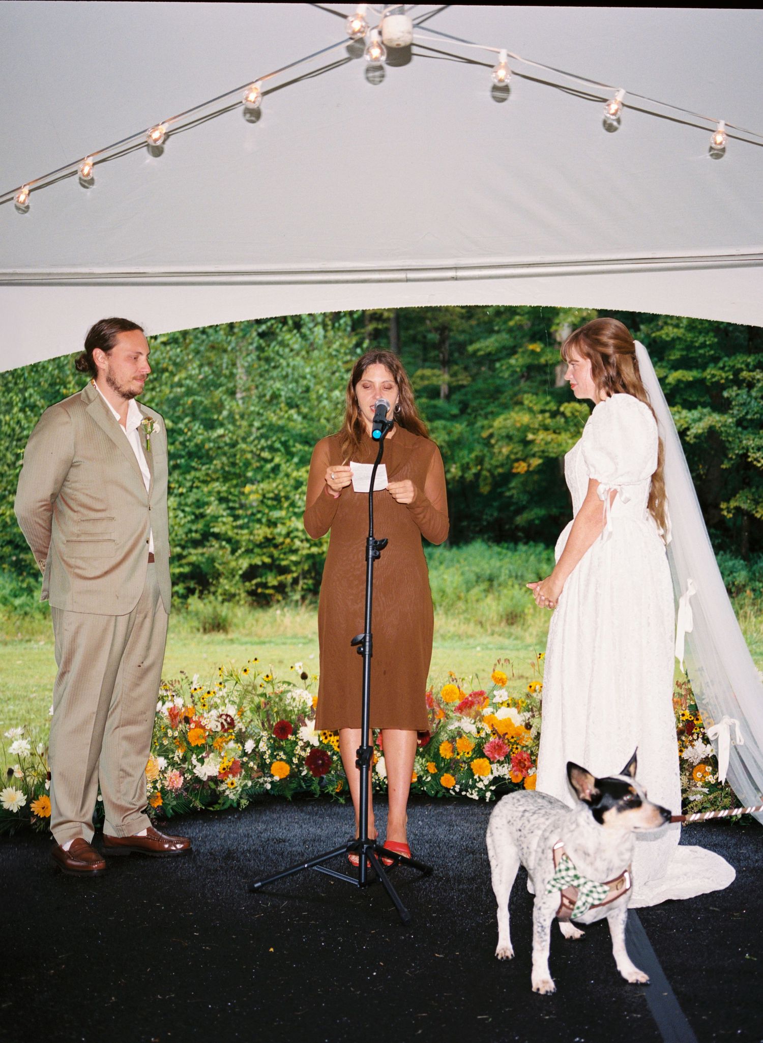 An outdoor wedding ceremony under a white tent with string lights, featuring a couple and officiant with a white dog present.