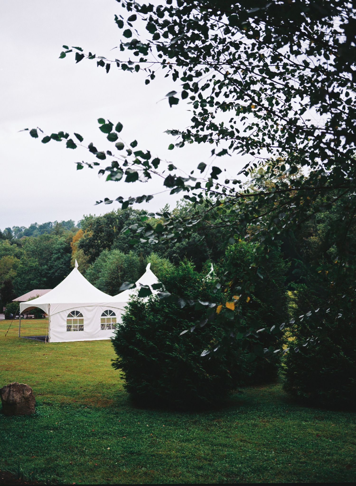 White wedding tents set up in a grassy field surrounded by lush green trees and foliage on a summer day.