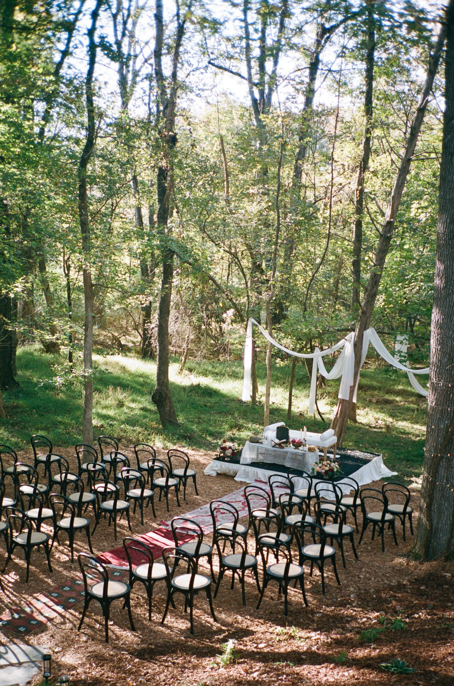 Outdoor forest wedding ceremony setup with black bistro chairs, a red aisle runner, and white draped fabric under tall sunlit trees.