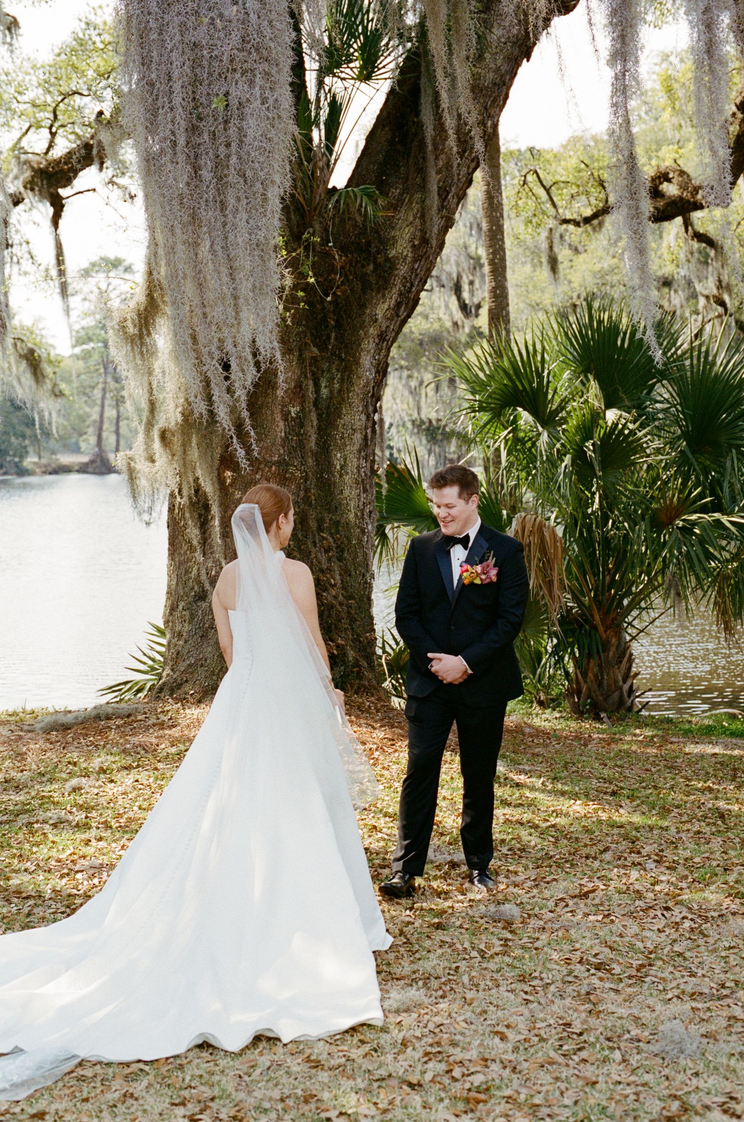 Bride in white gown and veil shares first look moment with groom in black tuxedo under Spanish moss-draped oak trees.