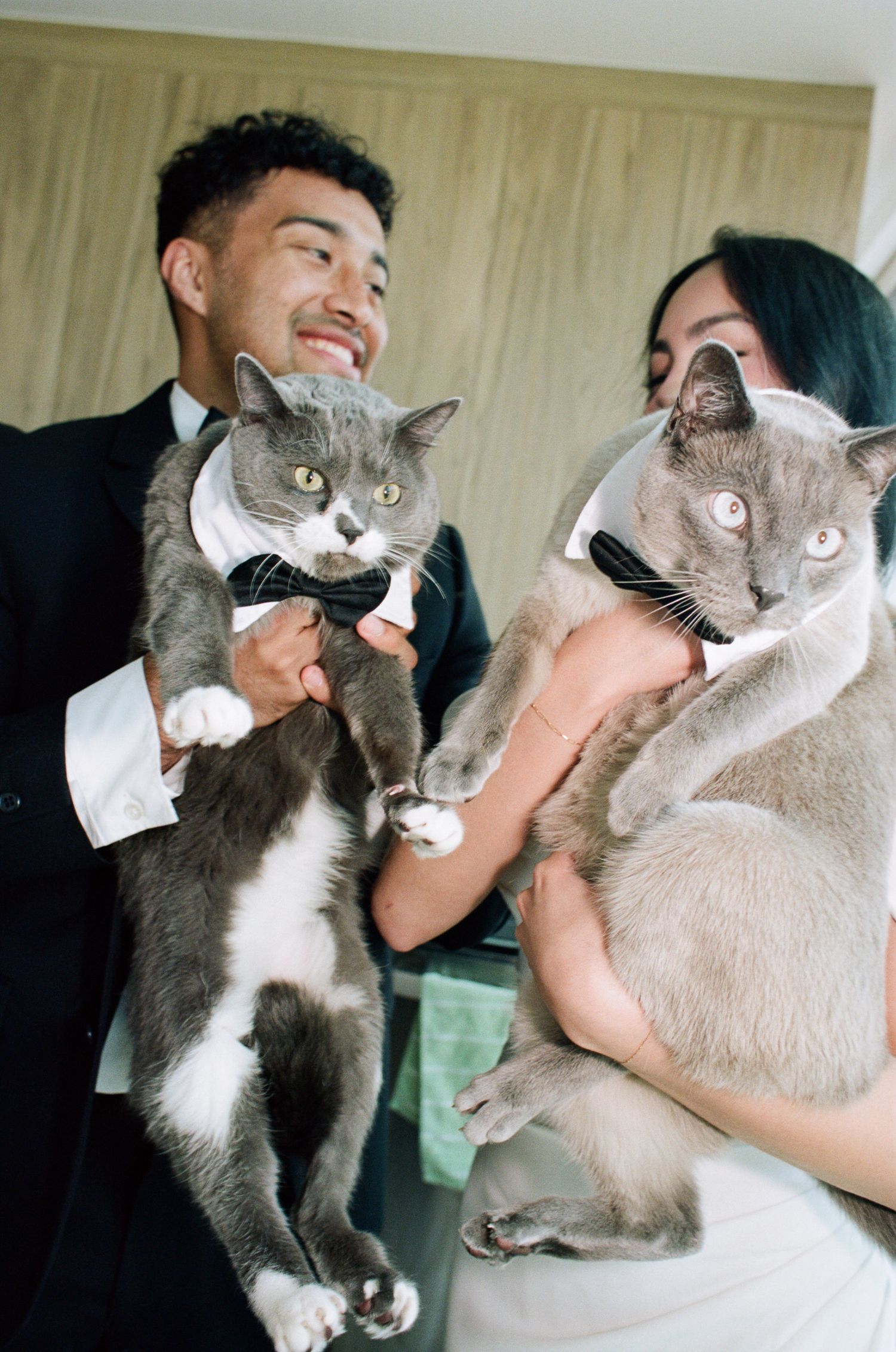 A grey cat being held up and playfully interacting with its owners in a series of five connected photos.