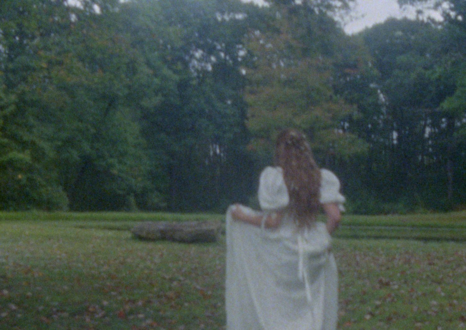 A sequence of photos shows a person in a white dress twirling gracefully in a lush green meadow with wildflowers.