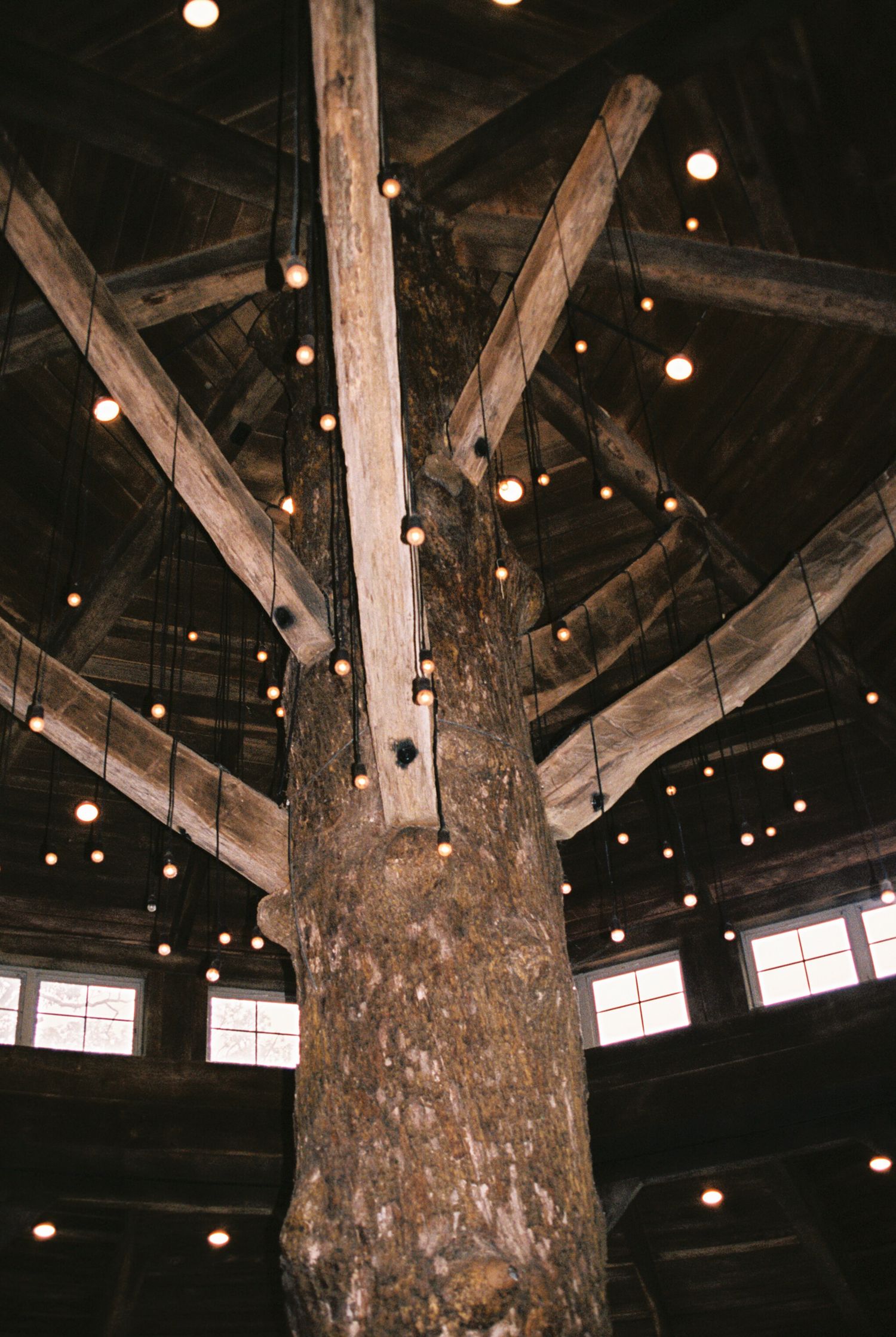 Rustic wooden beams and string lights create an atmospheric ceiling in a barn-style interior space.
