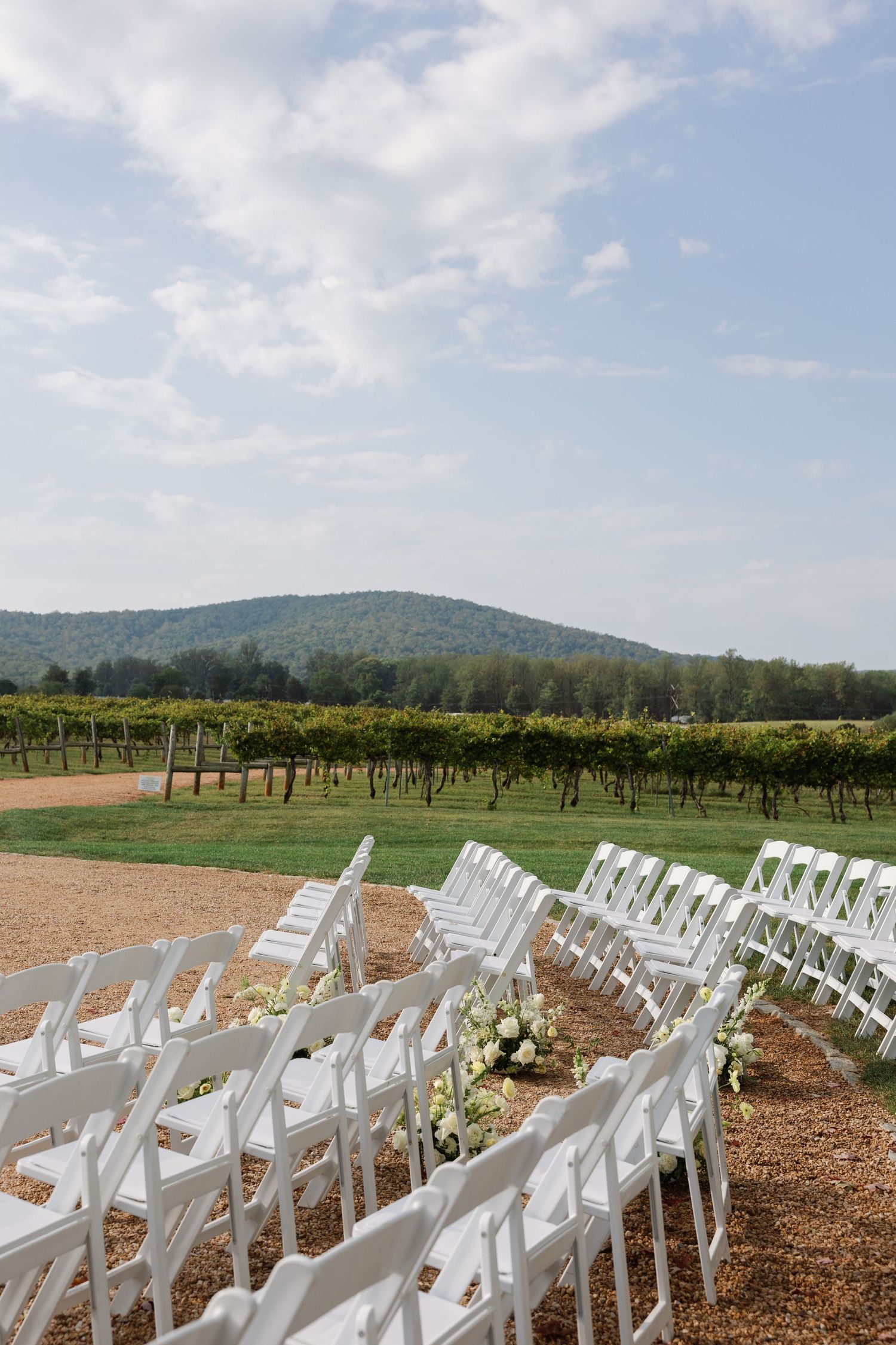 White wedding chairs arranged in rows overlooking a scenic vineyard with mountains in the background on a sunny day.